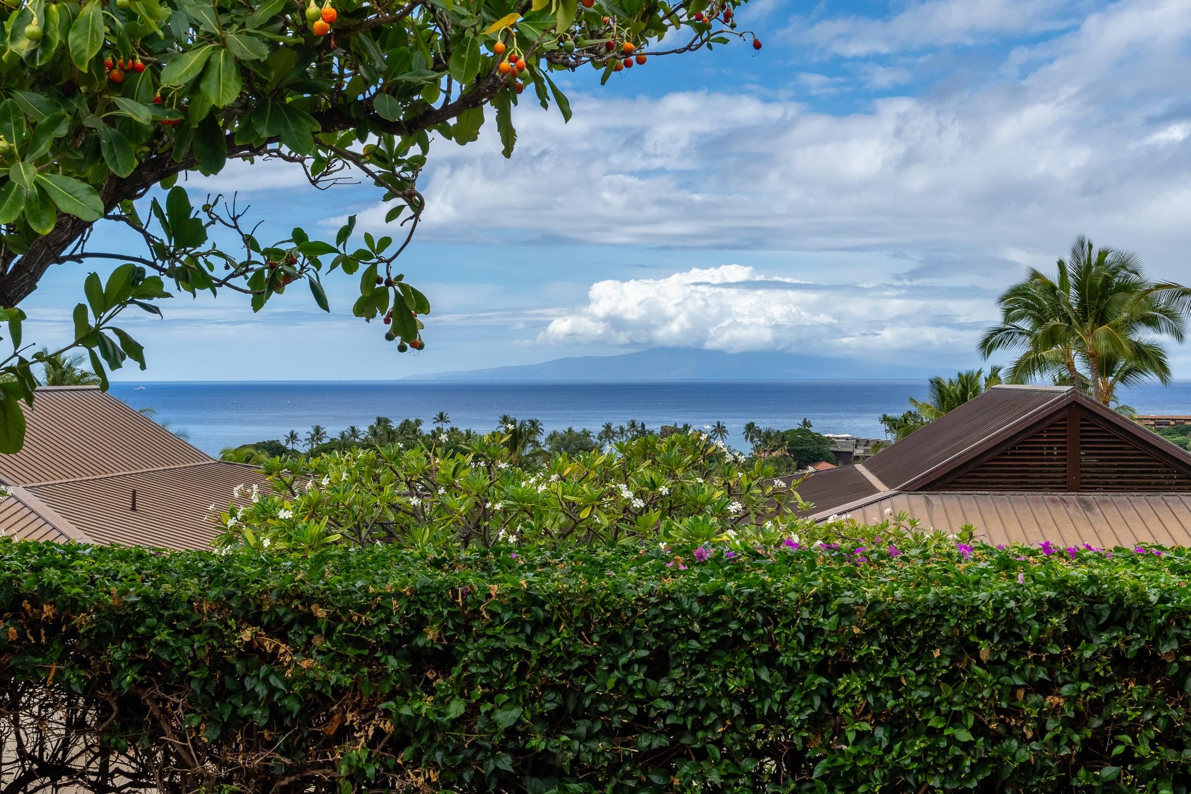 Papali Wailea condo # 5, Kihei, Hawaii - photo 2 of 48