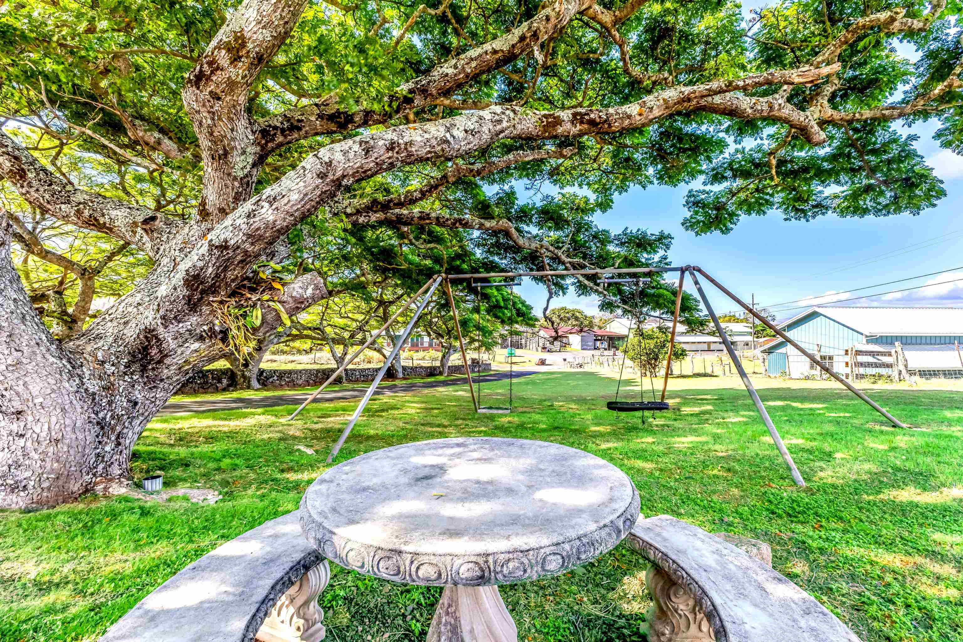 3101  Kailiili Rd , Haiku home - photo 42 of 42