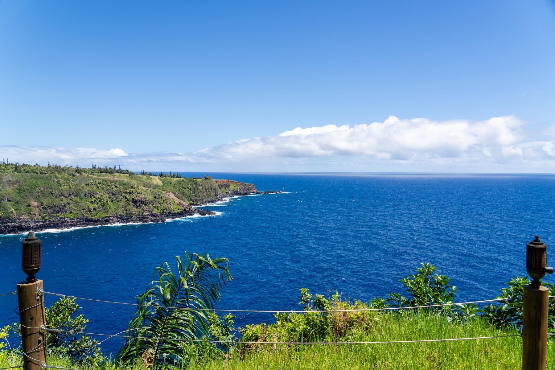 311  Door Of Faith Rd Huelo, Haiku home - photo 4 of 50