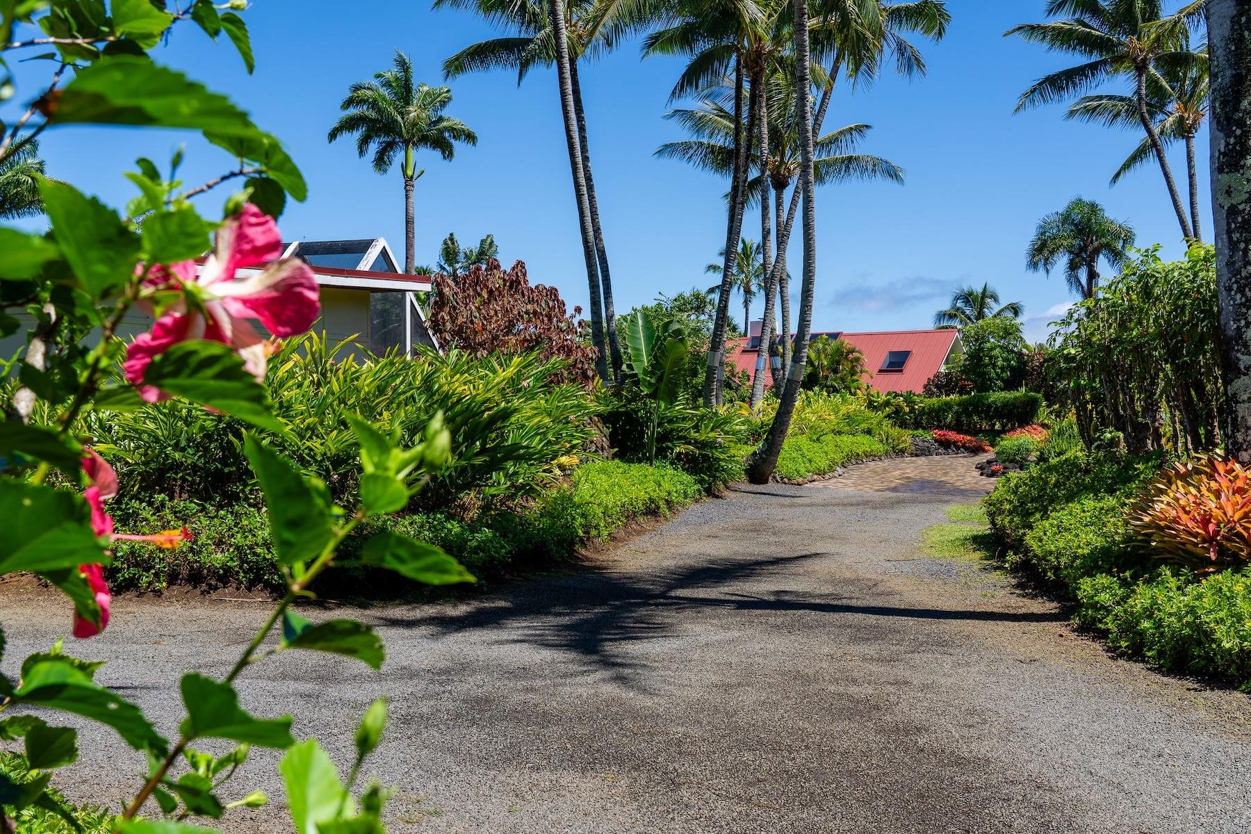 311  Door Of Faith Rd Huelo, Haiku home - photo 6 of 50