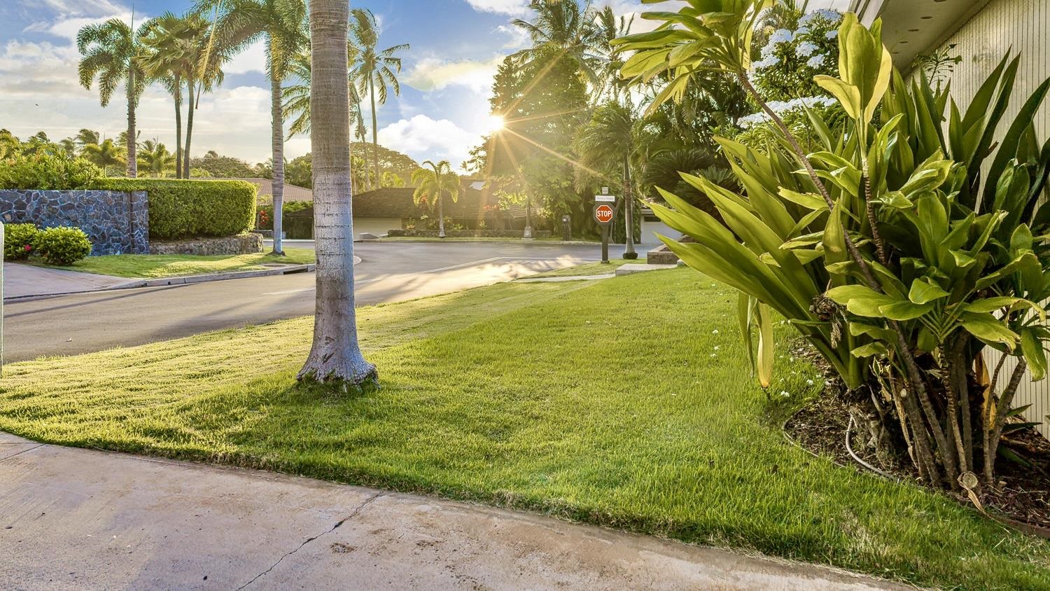 3111  Waiea Pl Wailea, Wailea/Makena home - photo 39 of 41