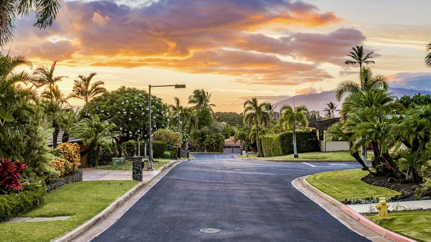 3111  Waiea Pl Wailea, Wailea/Makena home - photo 40 of 41
