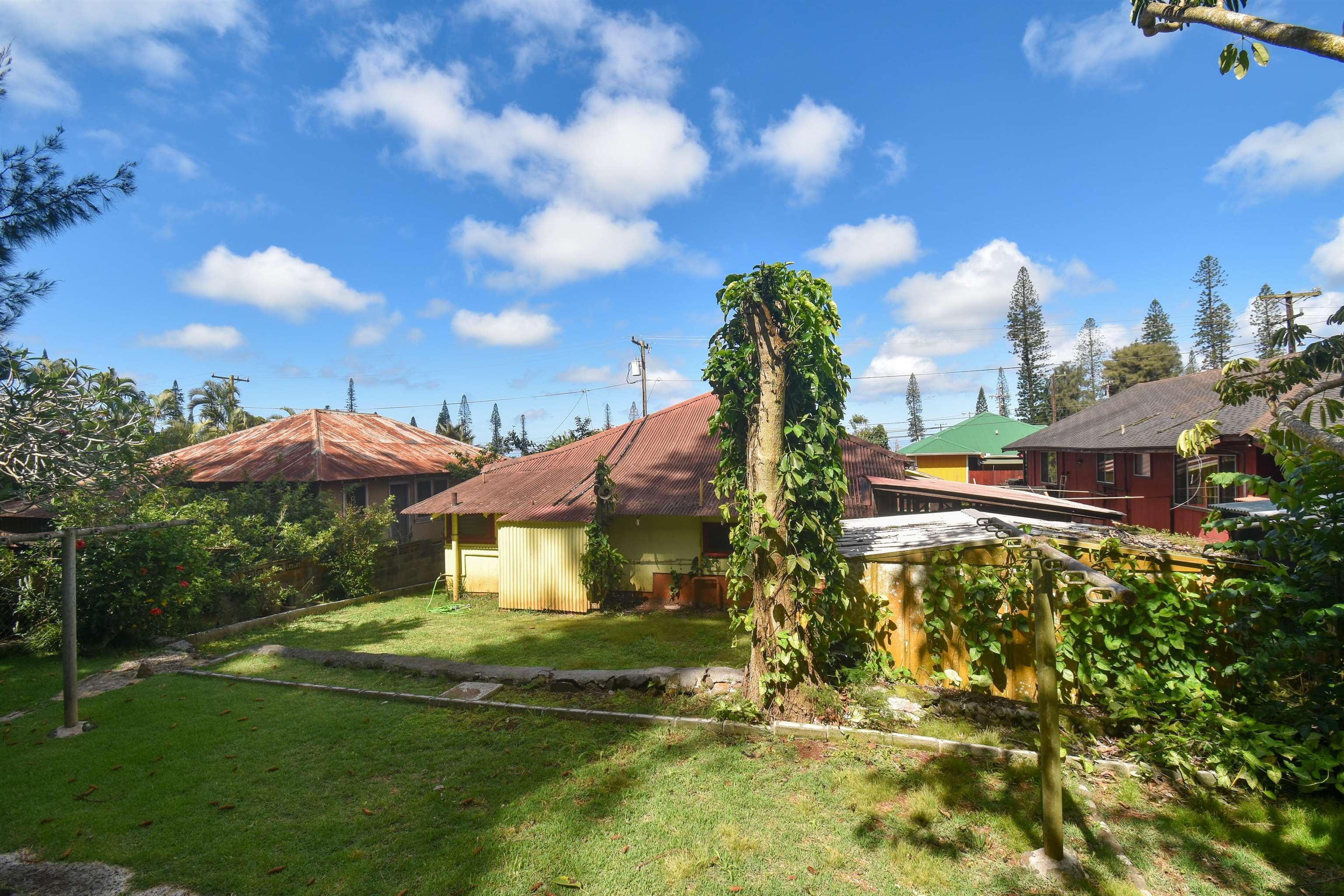 312  Mahana Pl Lanai, Lanai home - photo 22 of 26