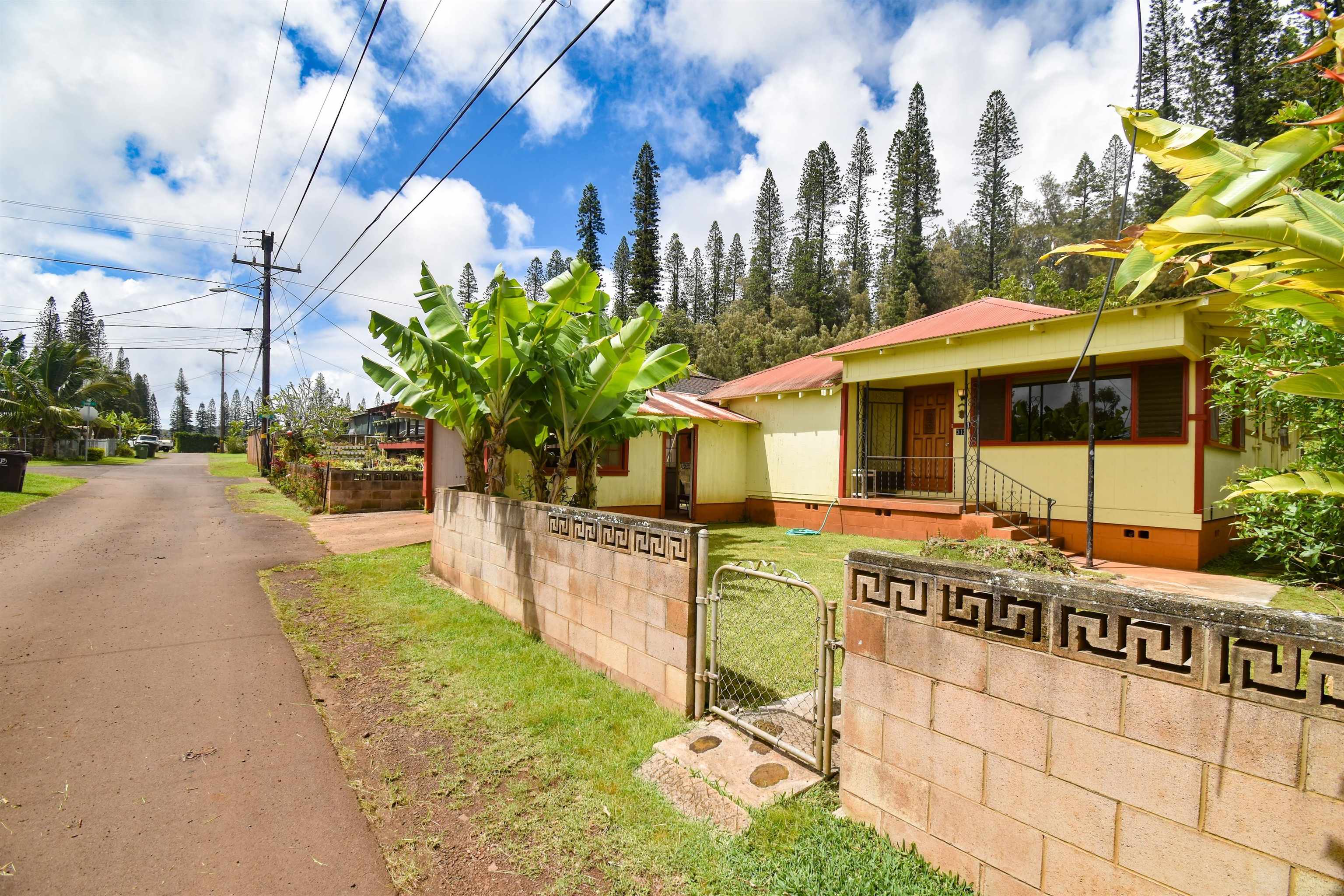 312  Mahana Pl Lanai, Lanai home - photo 25 of 26