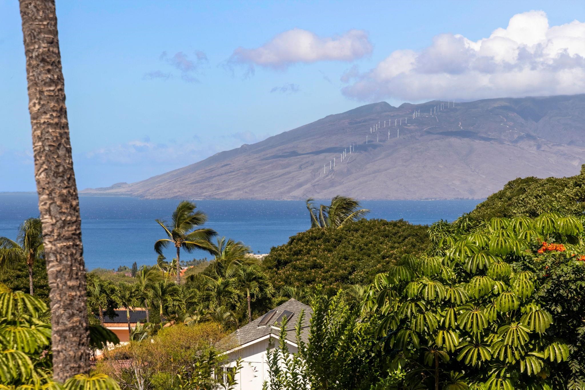 3124  Nahenahe Pl Maui Meadows, Maui Meadows home - photo 2 of 50