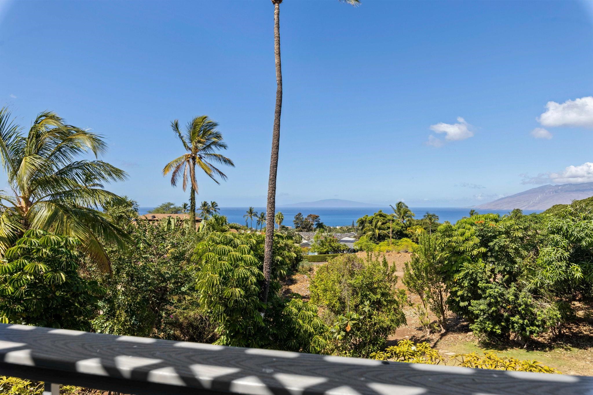 3124  Nahenahe Pl , Maui Meadows home - photo 21 of 48