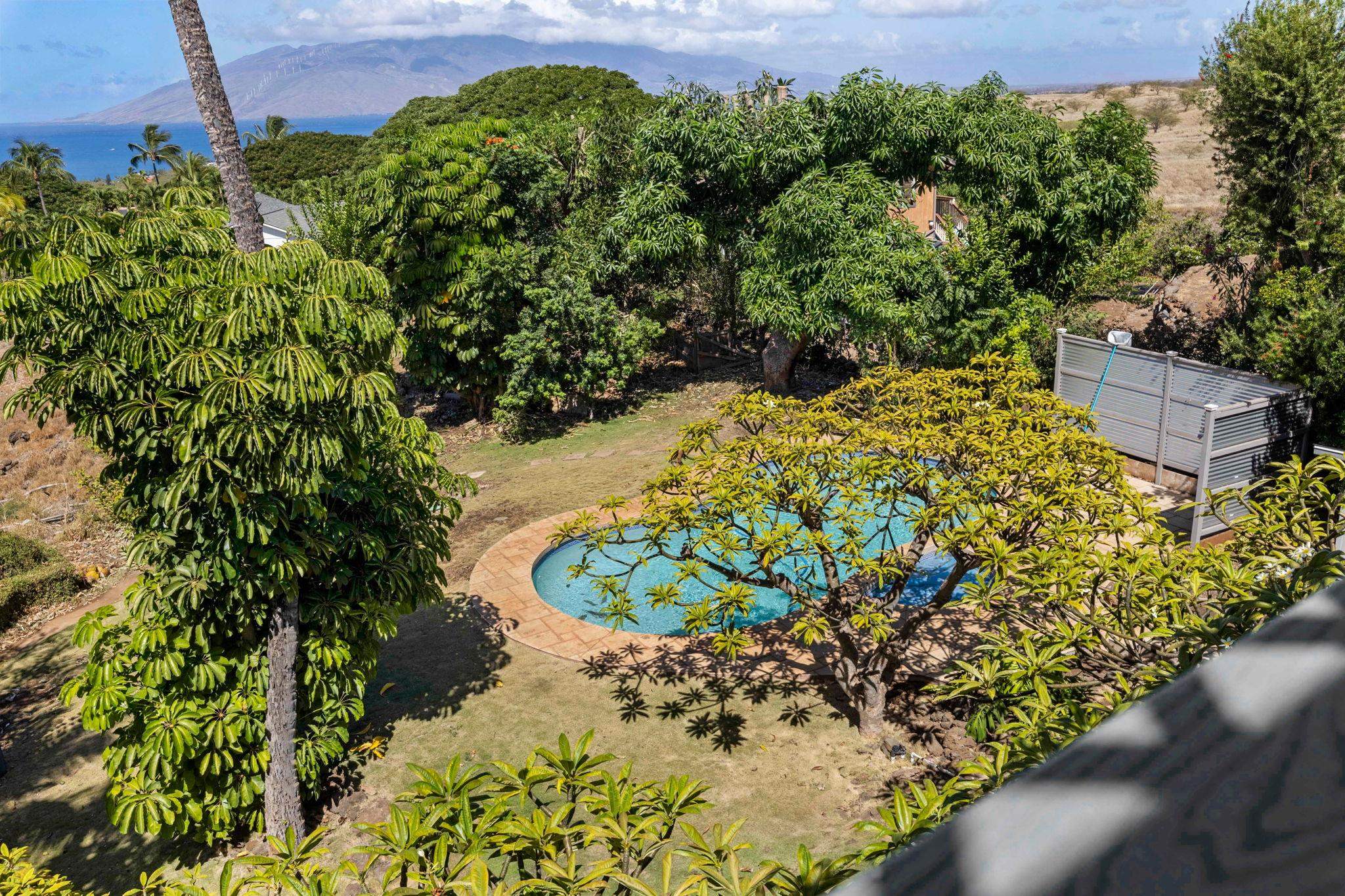 3124  Nahenahe Pl , Maui Meadows home - photo 4 of 48