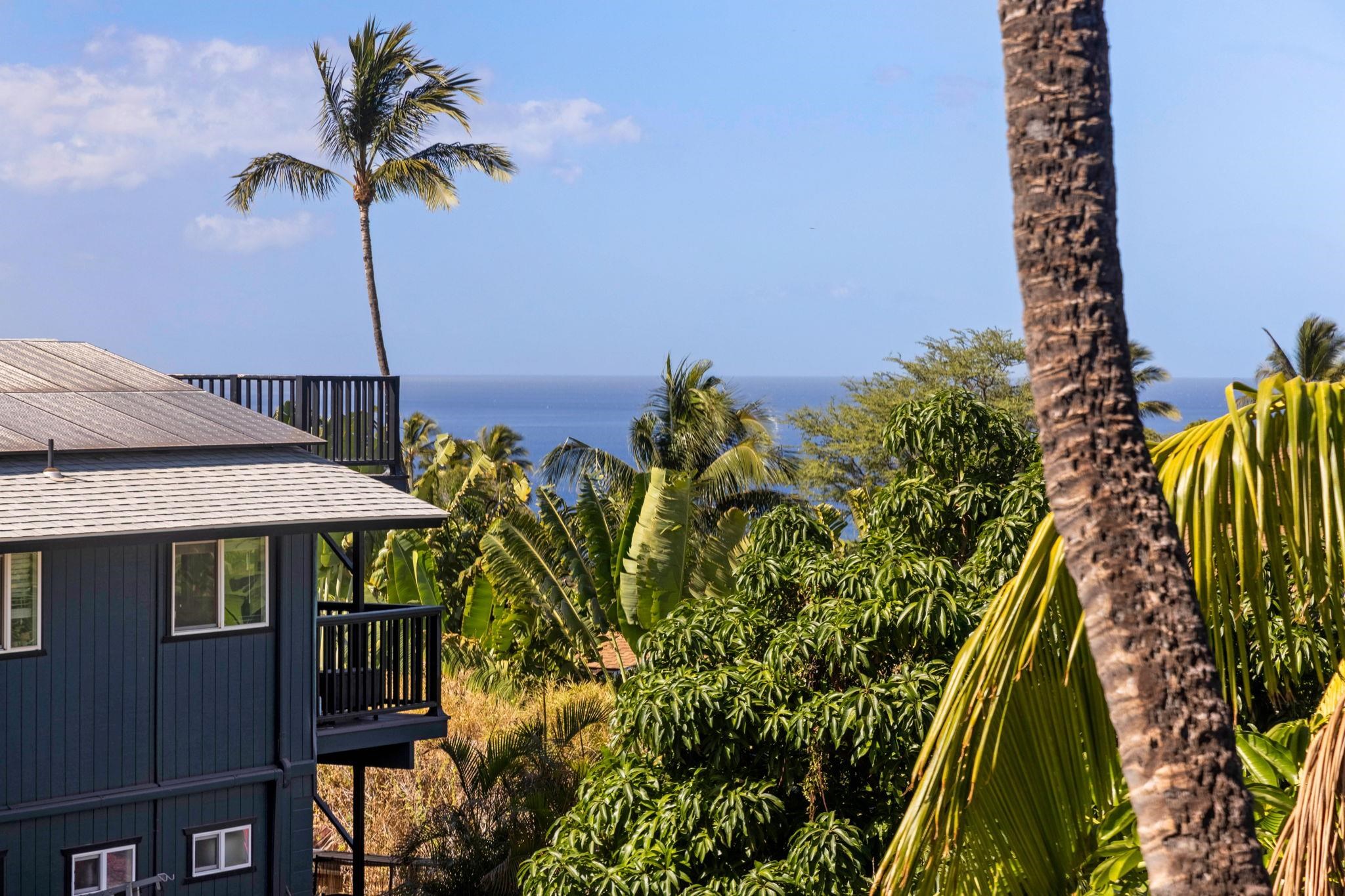 3124  Nahenahe Pl , Maui Meadows home - photo 47 of 48