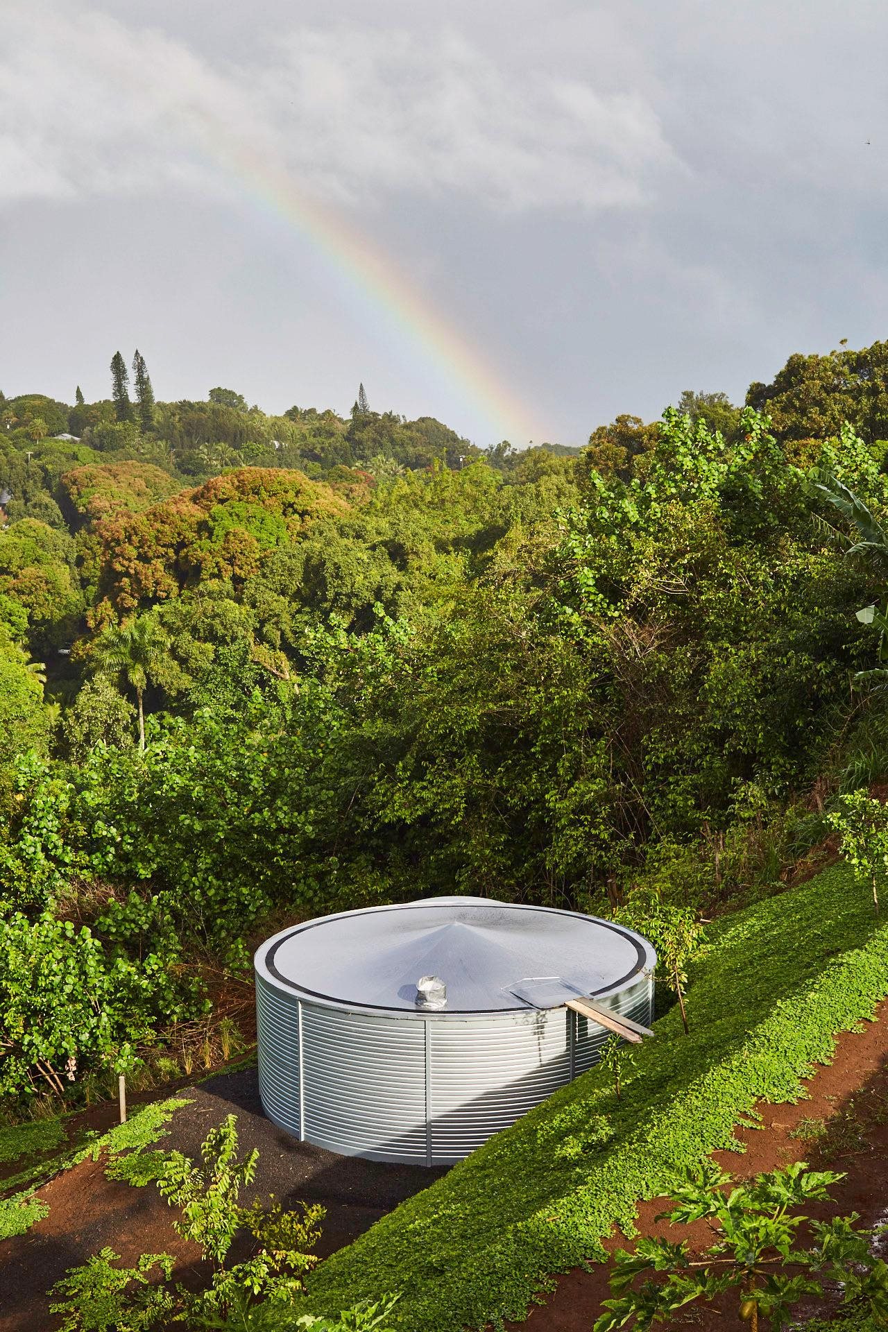 3127  Ua Noe Pl , Haiku home - photo 47 of 50