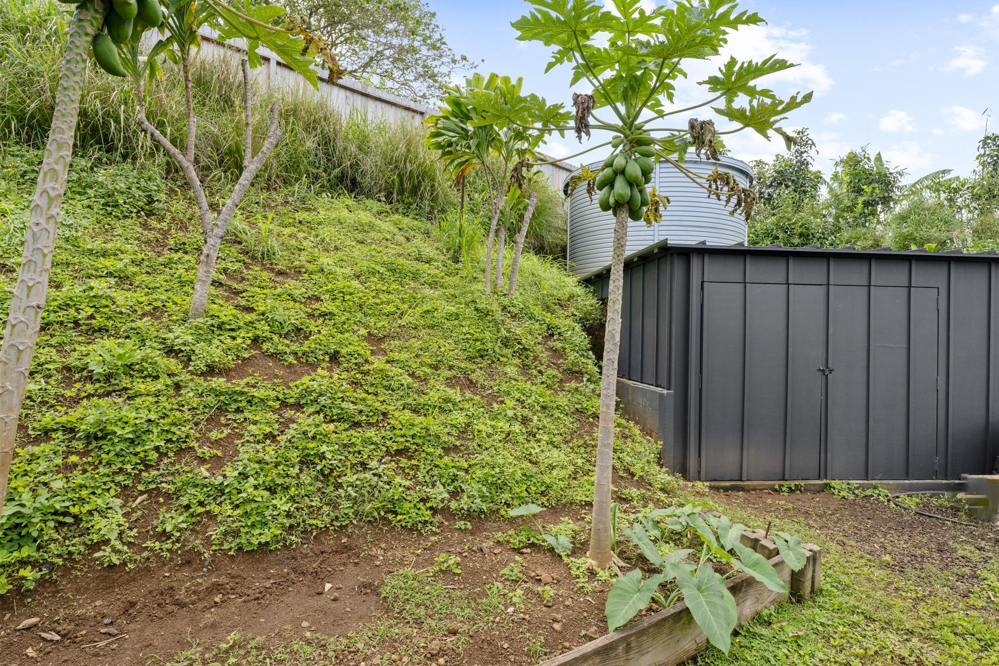 3127  Ua Noe Pl , Haiku home - photo 48 of 50