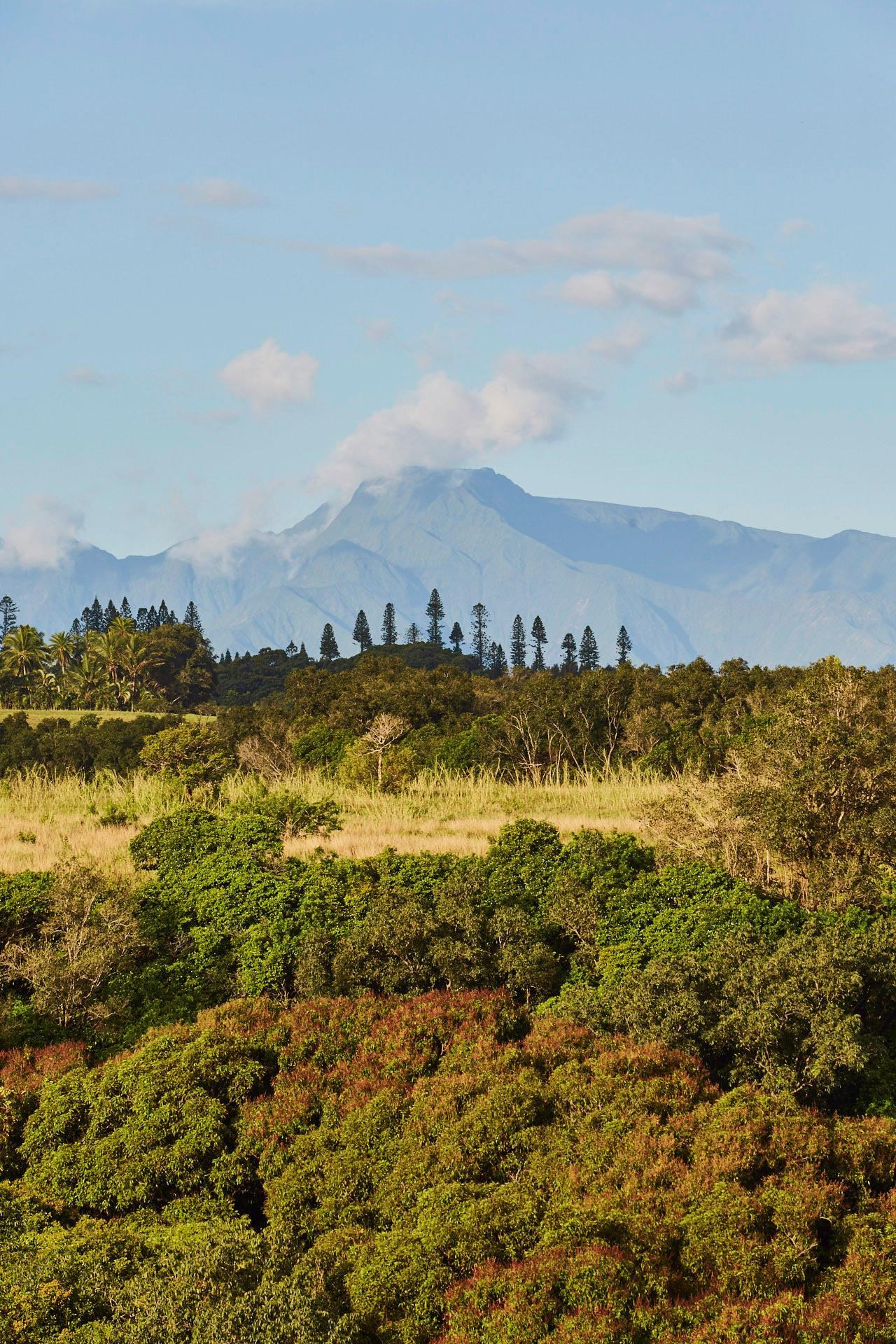 3127  Ua Noe Pl , Haiku home - photo 49 of 50