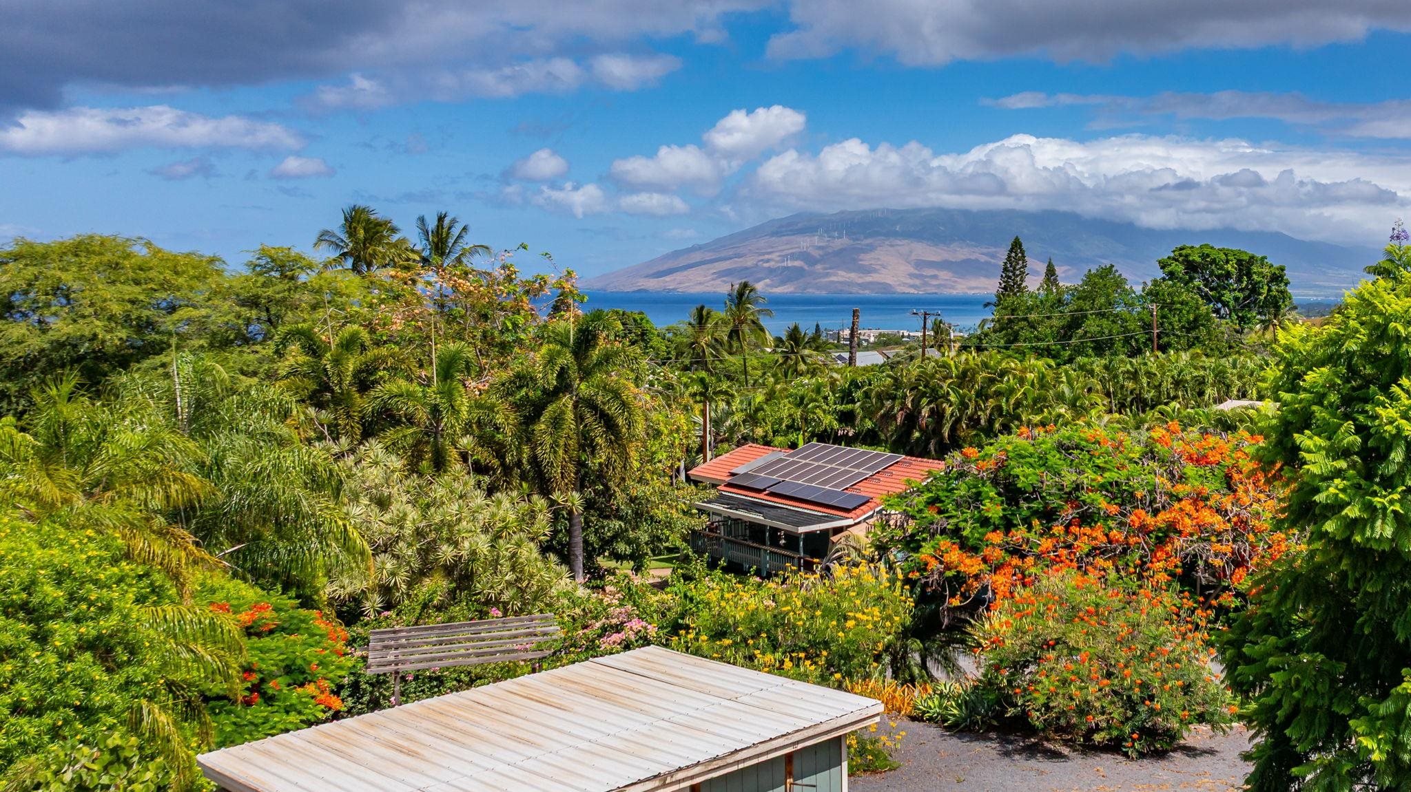 3129  Mapu Pl Maui Meadows, Maui Meadows home - photo 33 of 41