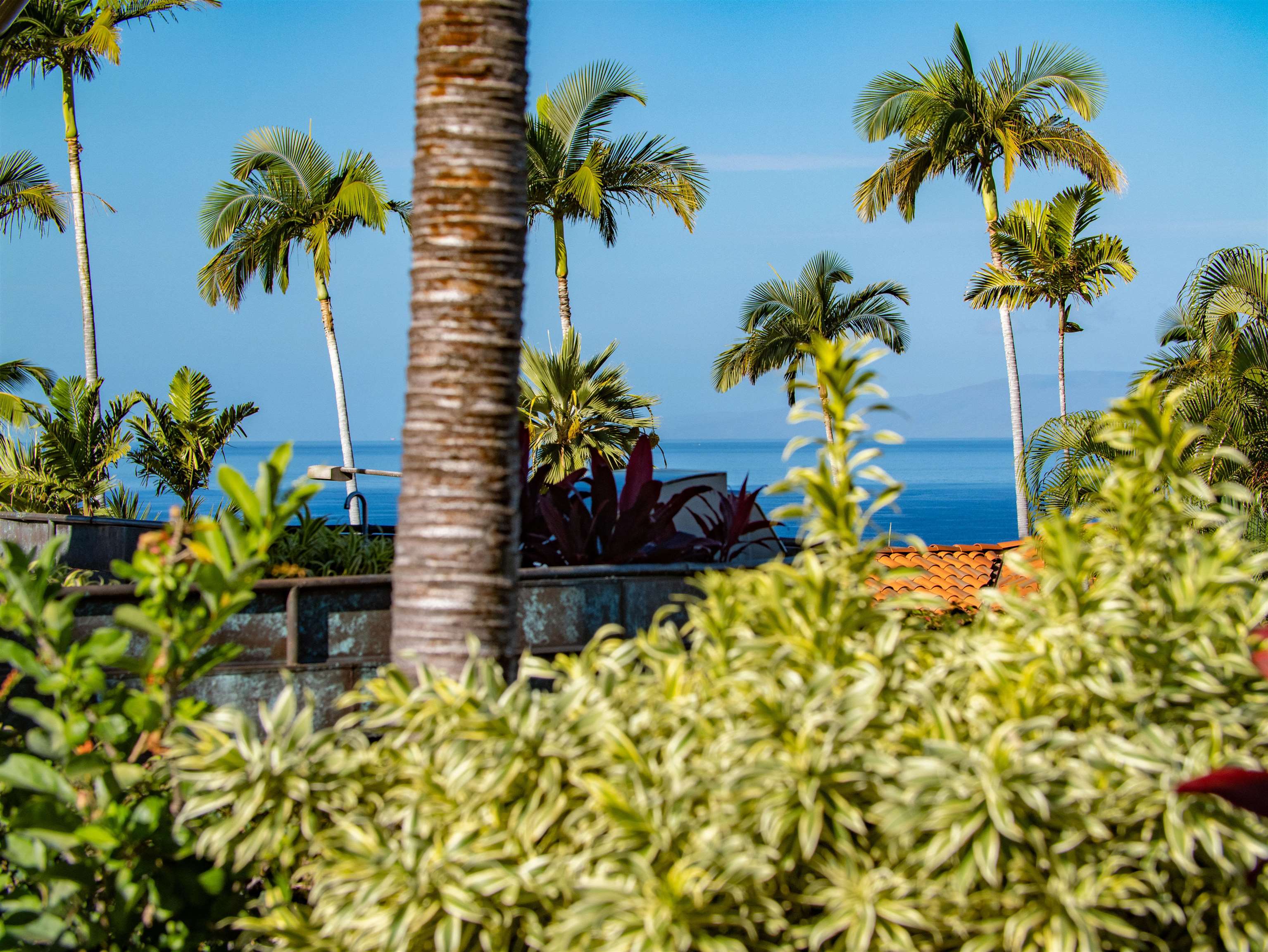 3133  Kikihi St Wailea, Wailea/Makena home - photo 30 of 49