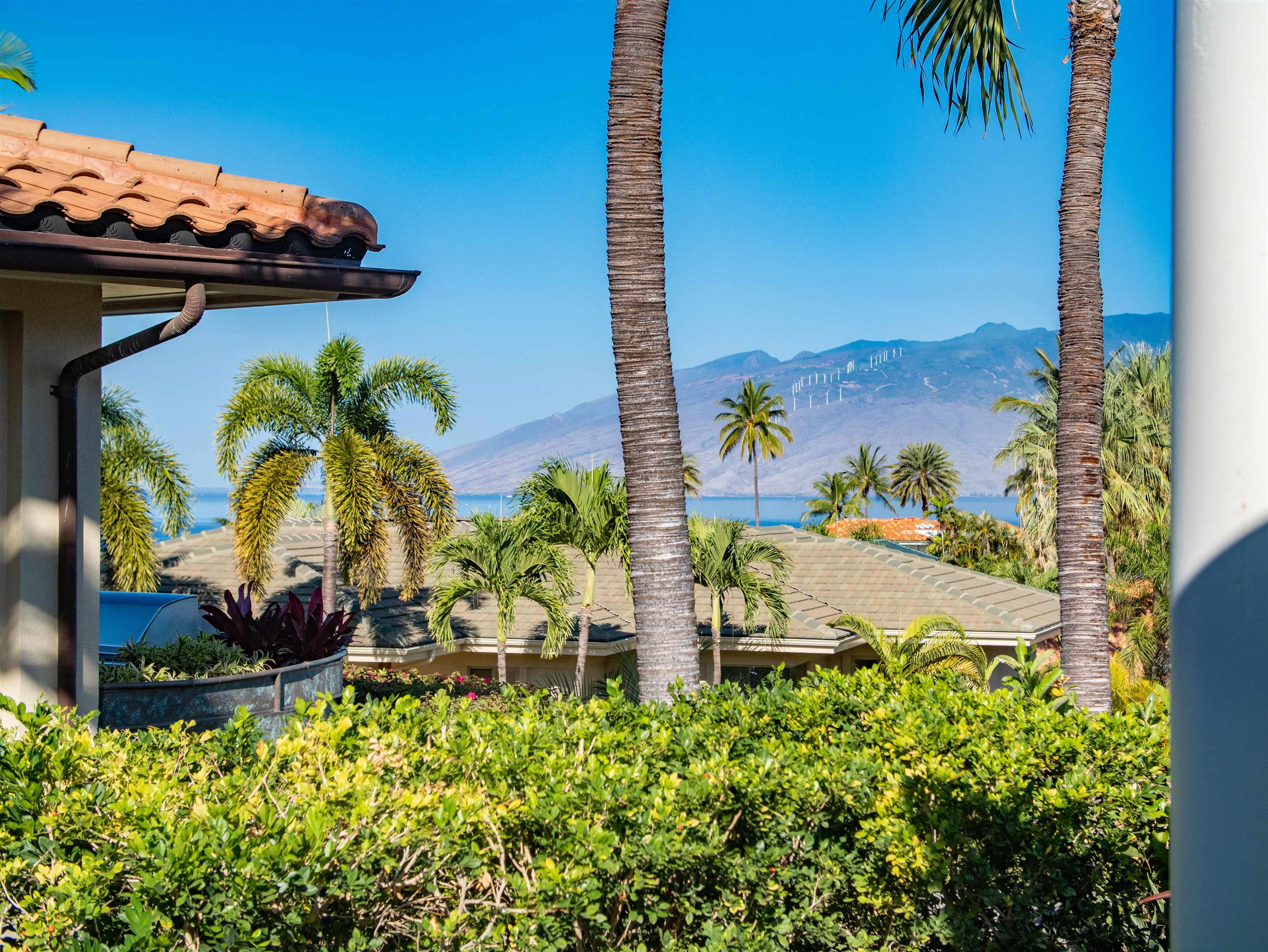 3133  Kikihi St Wailea, Wailea/Makena home - photo 39 of 49