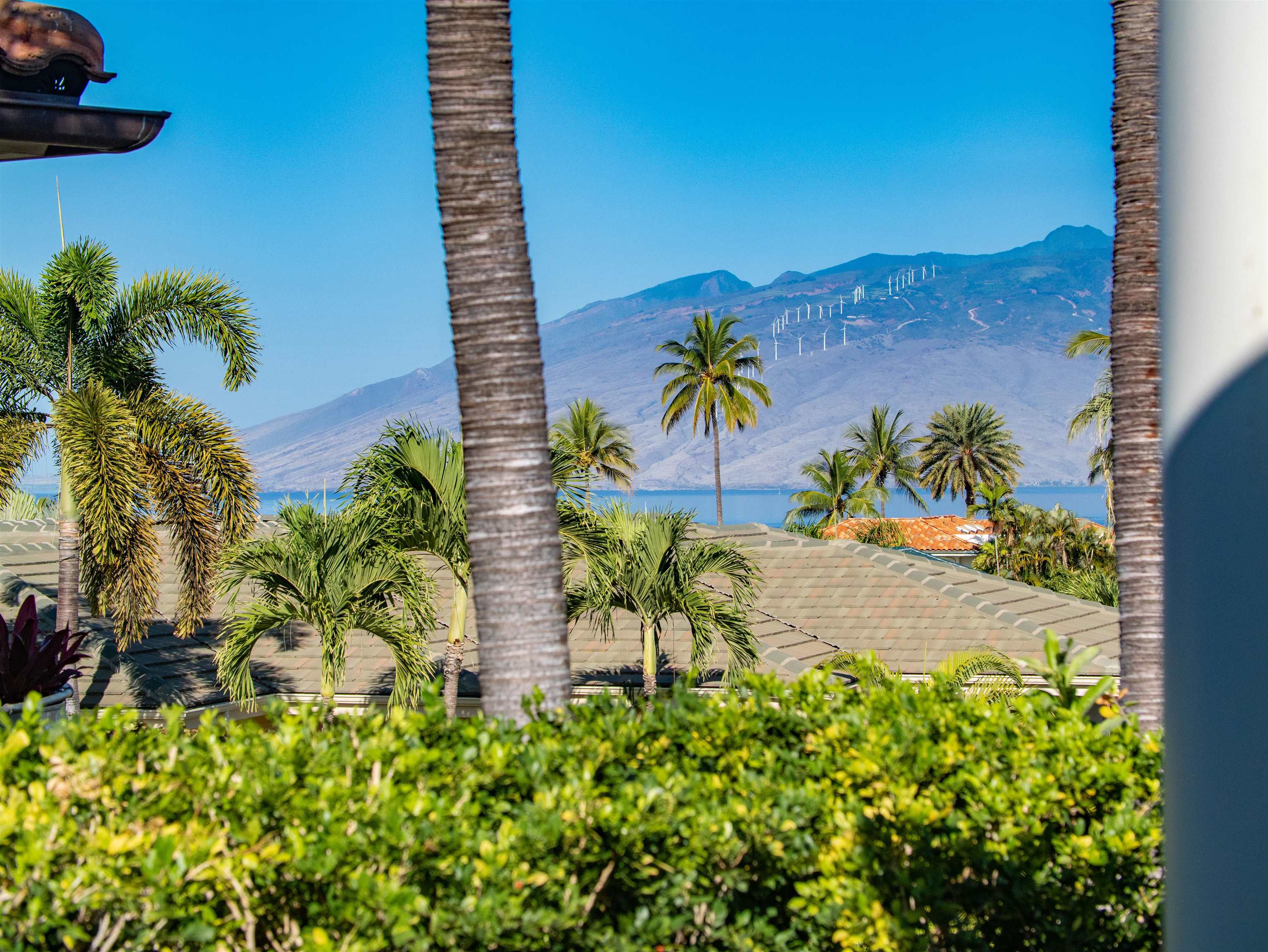 3133  Kikihi St Wailea, Wailea/Makena home - photo 42 of 49