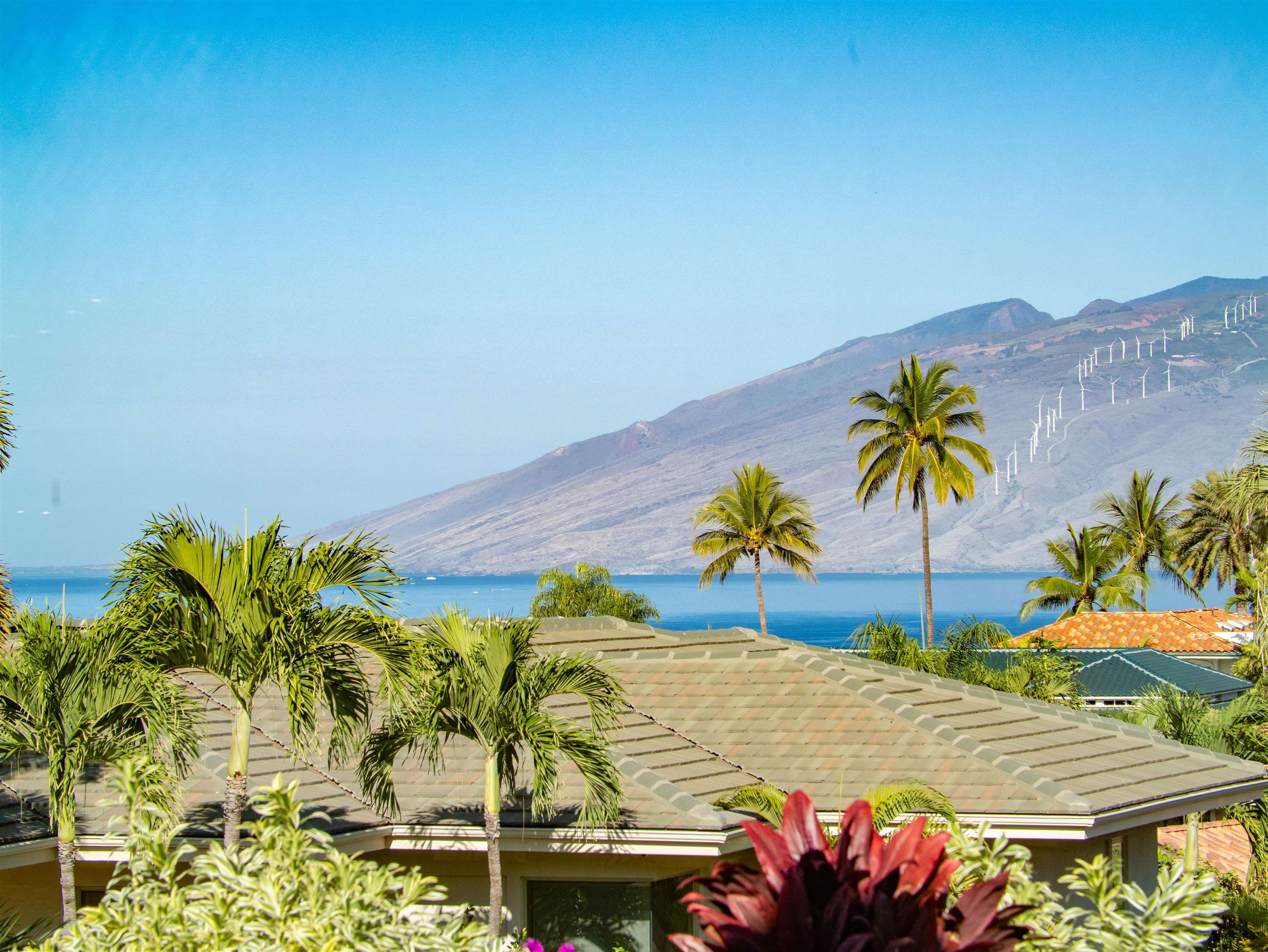 3133  Kikihi St Wailea, Wailea/Makena home - photo 47 of 49