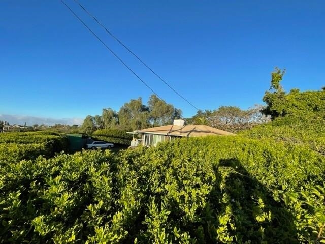 3135  Lower Kula Rd , Kula/Ulupalakua/Kanaio home - photo 8 of 30