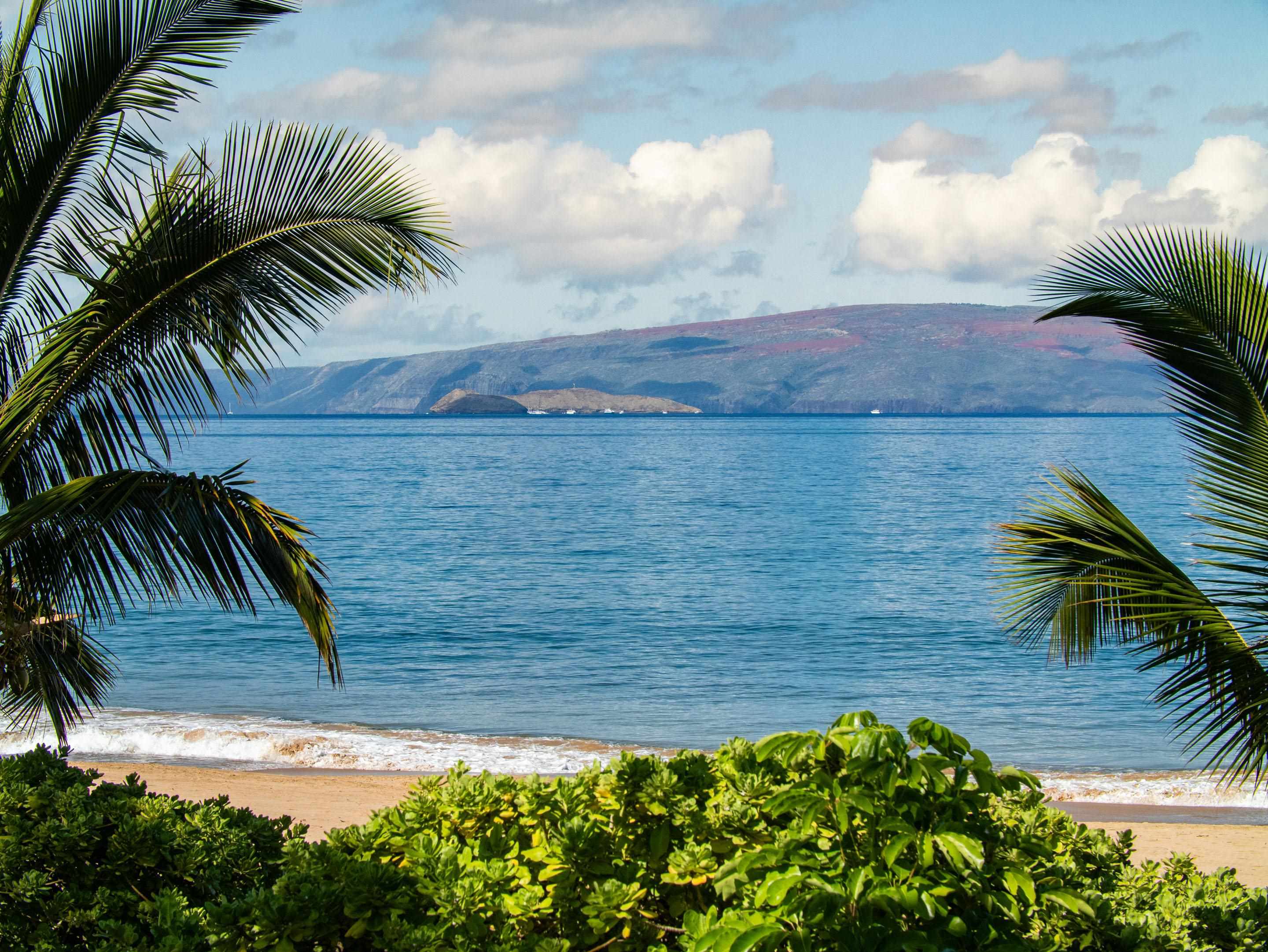 3146  S Kihei Rd Wailea, Kihei home - photo 12 of 45