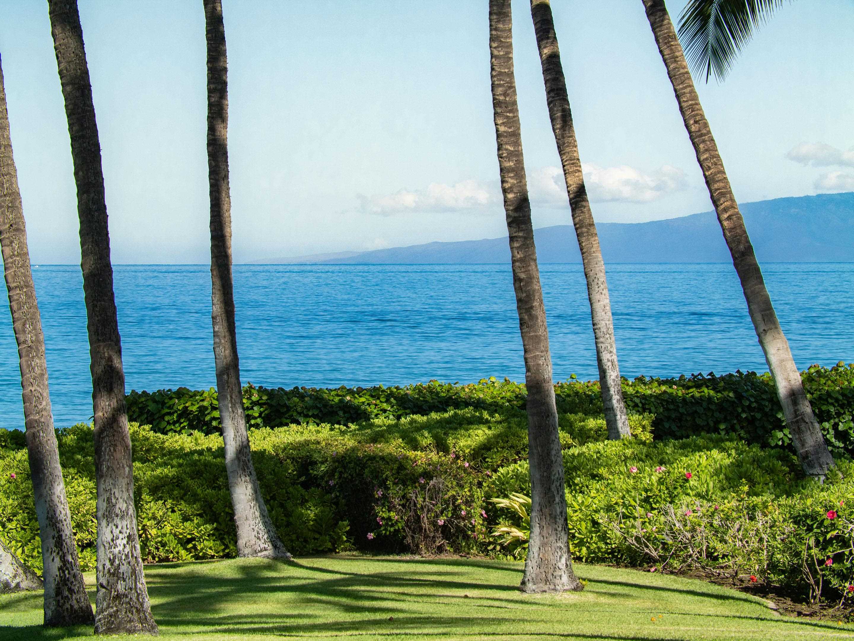 3146  S Kihei Rd Wailea, Kihei home - photo 33 of 45