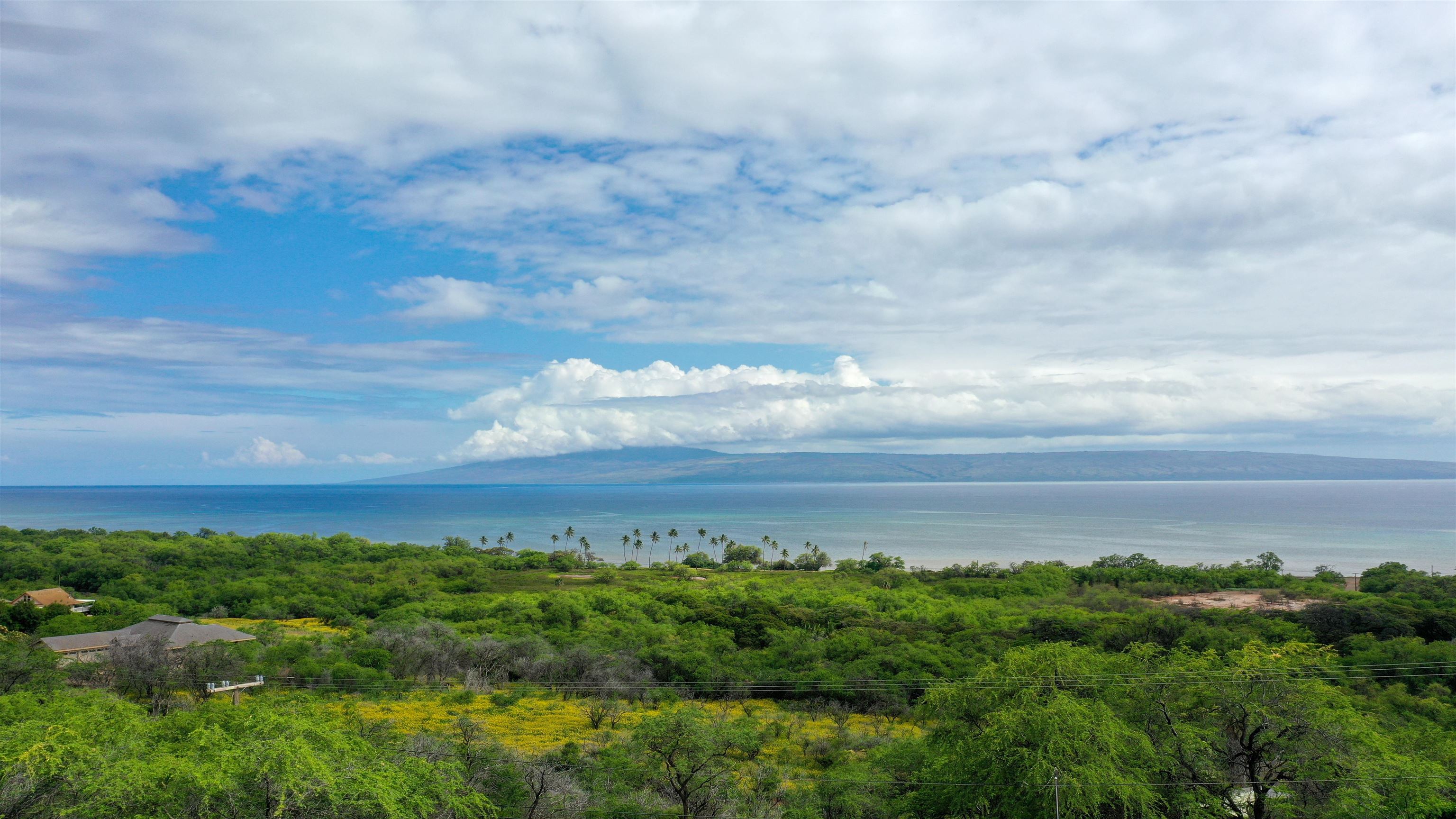 315  Onioni Dr , Molokai home - photo 8 of 25