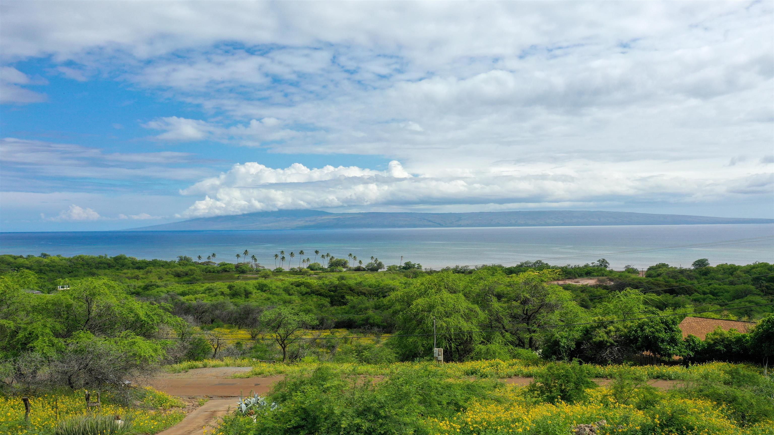 315  Onioni Dr , Molokai home - photo 10 of 25