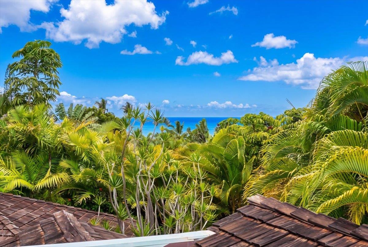 3150  Waiea Pl Wailea Kai, Wailea/Makena home - photo 30 of 50