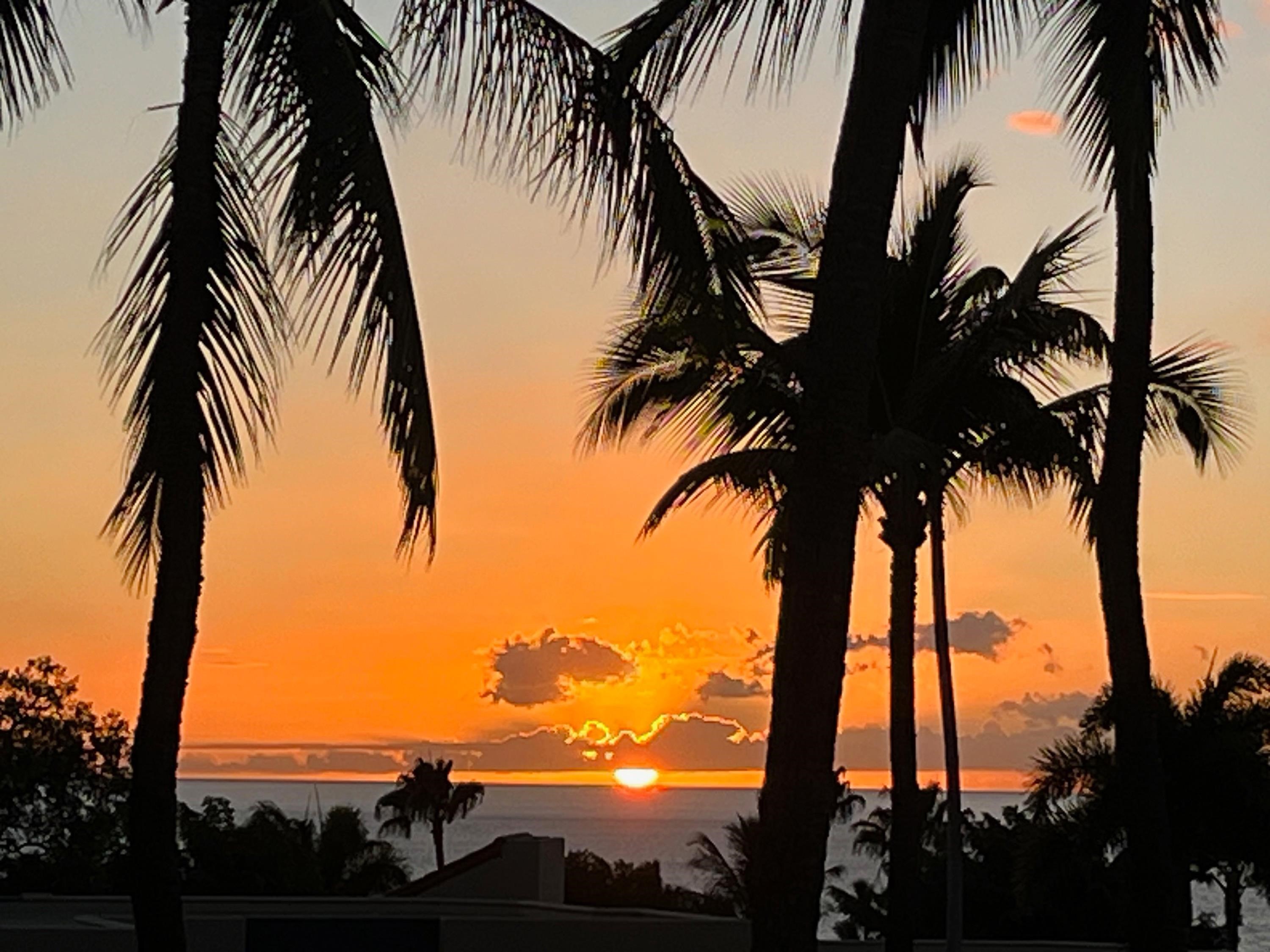 Wailea Palms condo # 2404, Kihei, Hawaii - photo 10 of 39