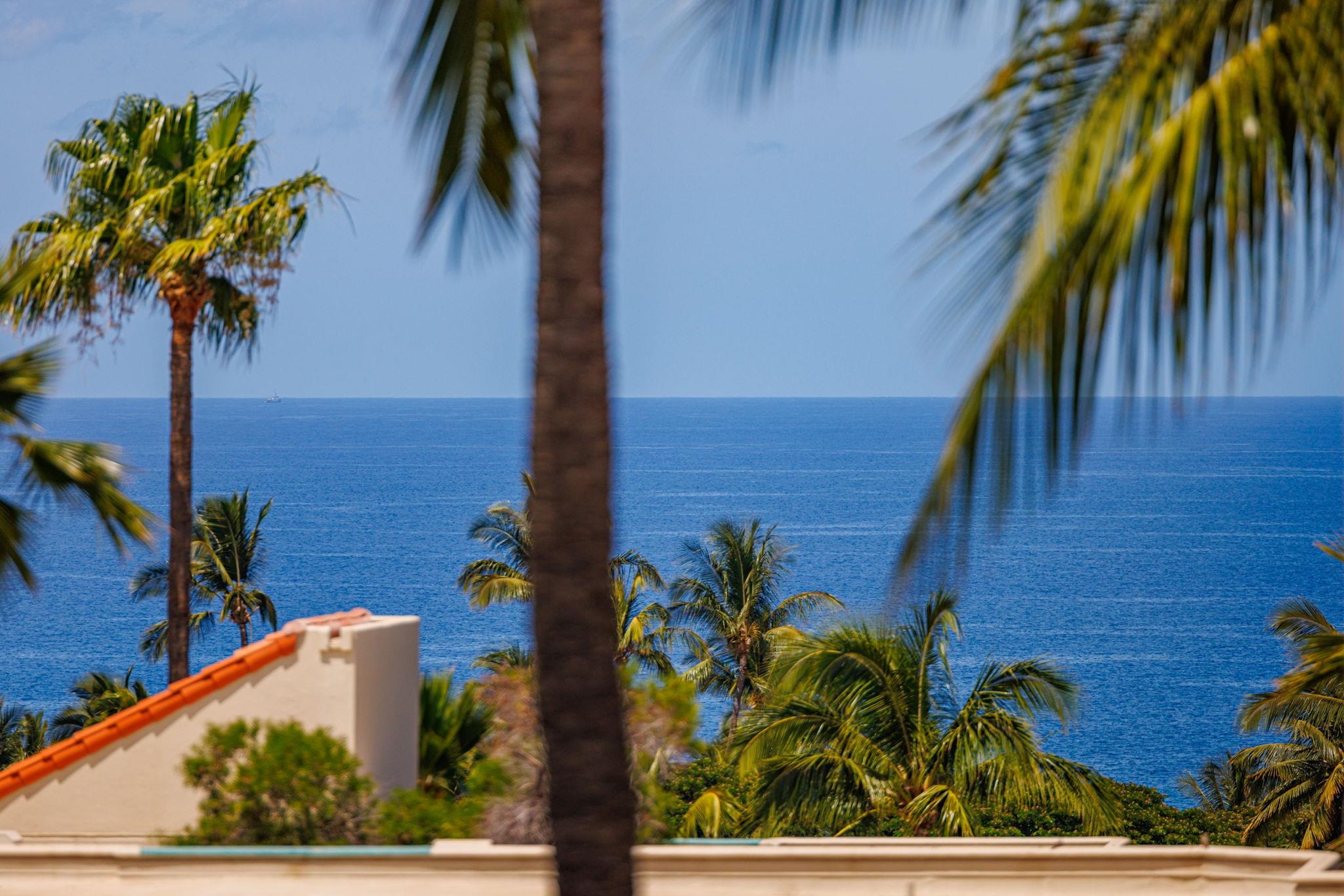 Wailea Palms condo # 2504, Kihei, Hawaii - photo 28 of 47