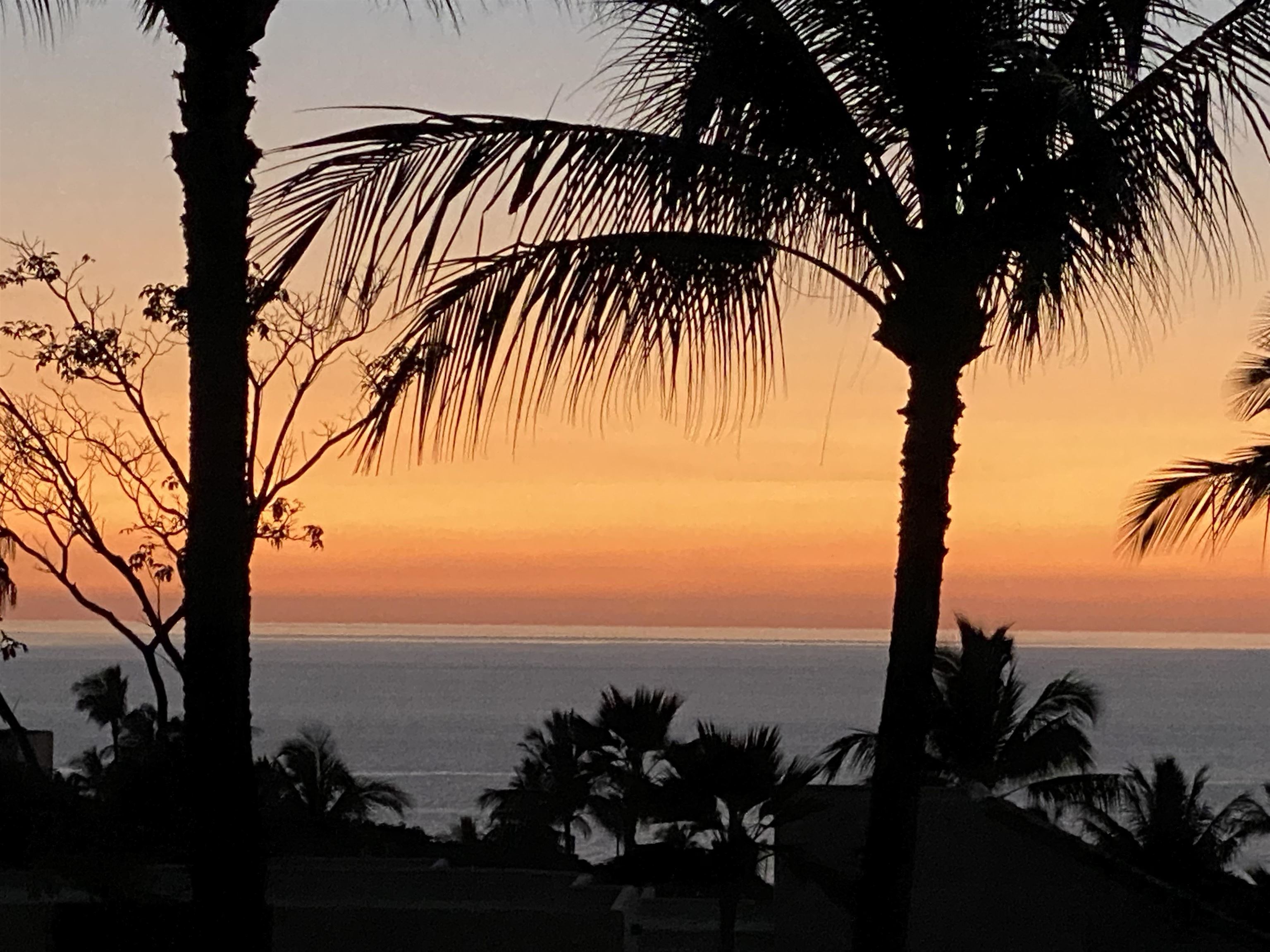 Wailea Palms condo # 2504, Kihei, Hawaii - photo 29 of 47