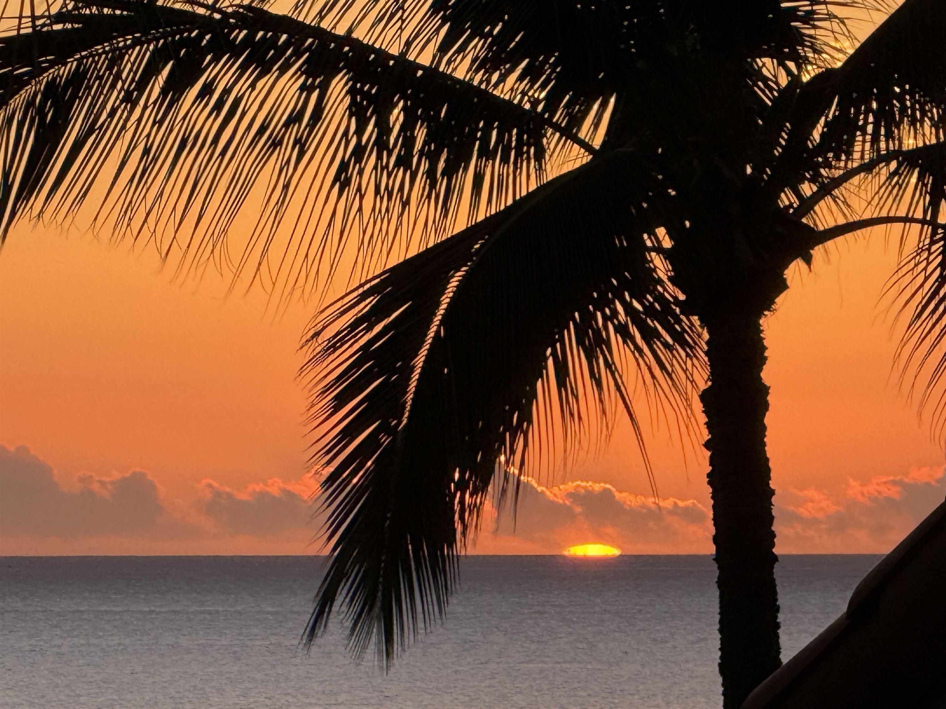 Wailea Palms condo # 2504, Kihei, Hawaii - photo 47 of 47