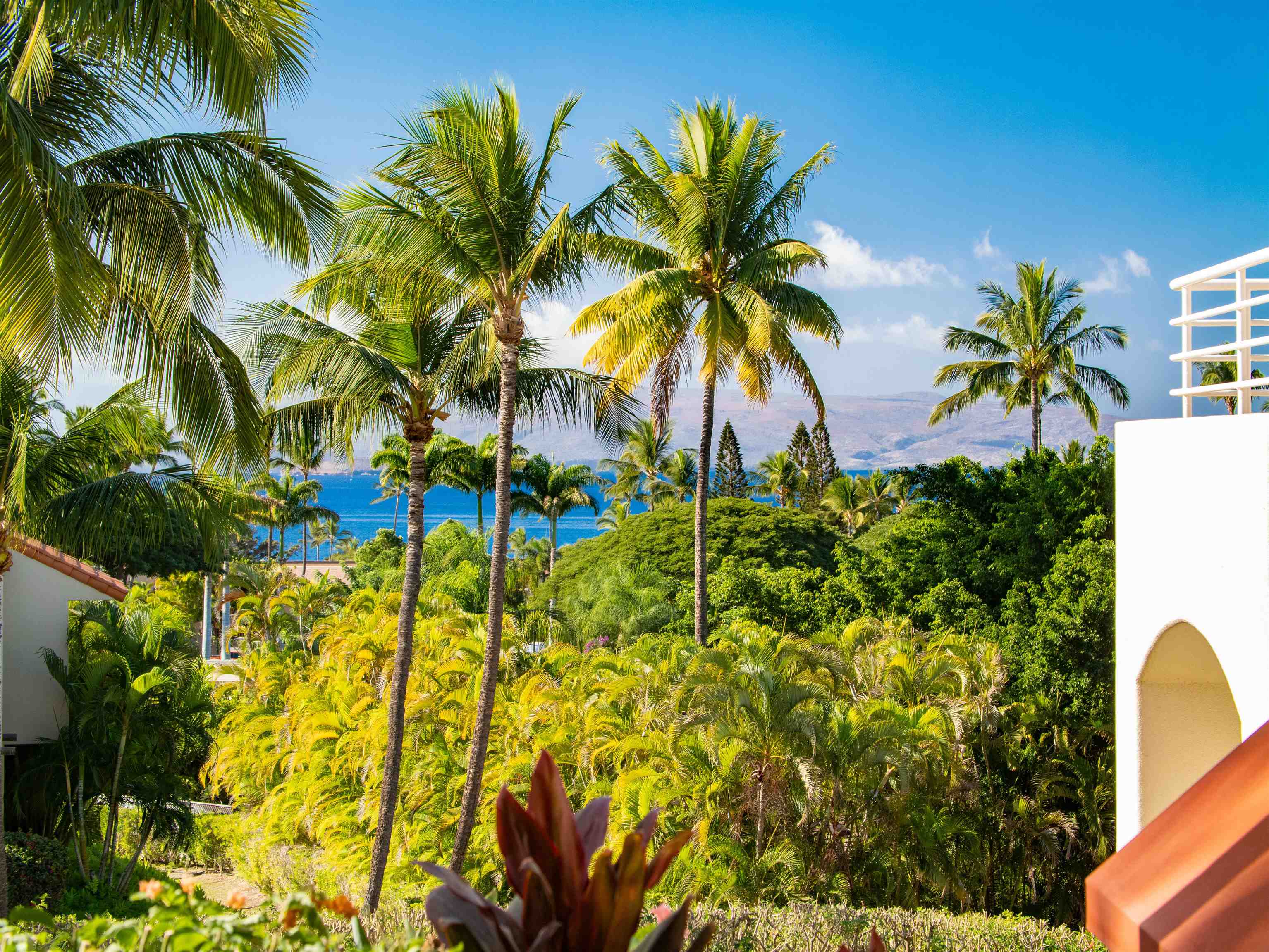 Wailea Palms condo # 2703, Kihei, Hawaii - photo 12 of 38