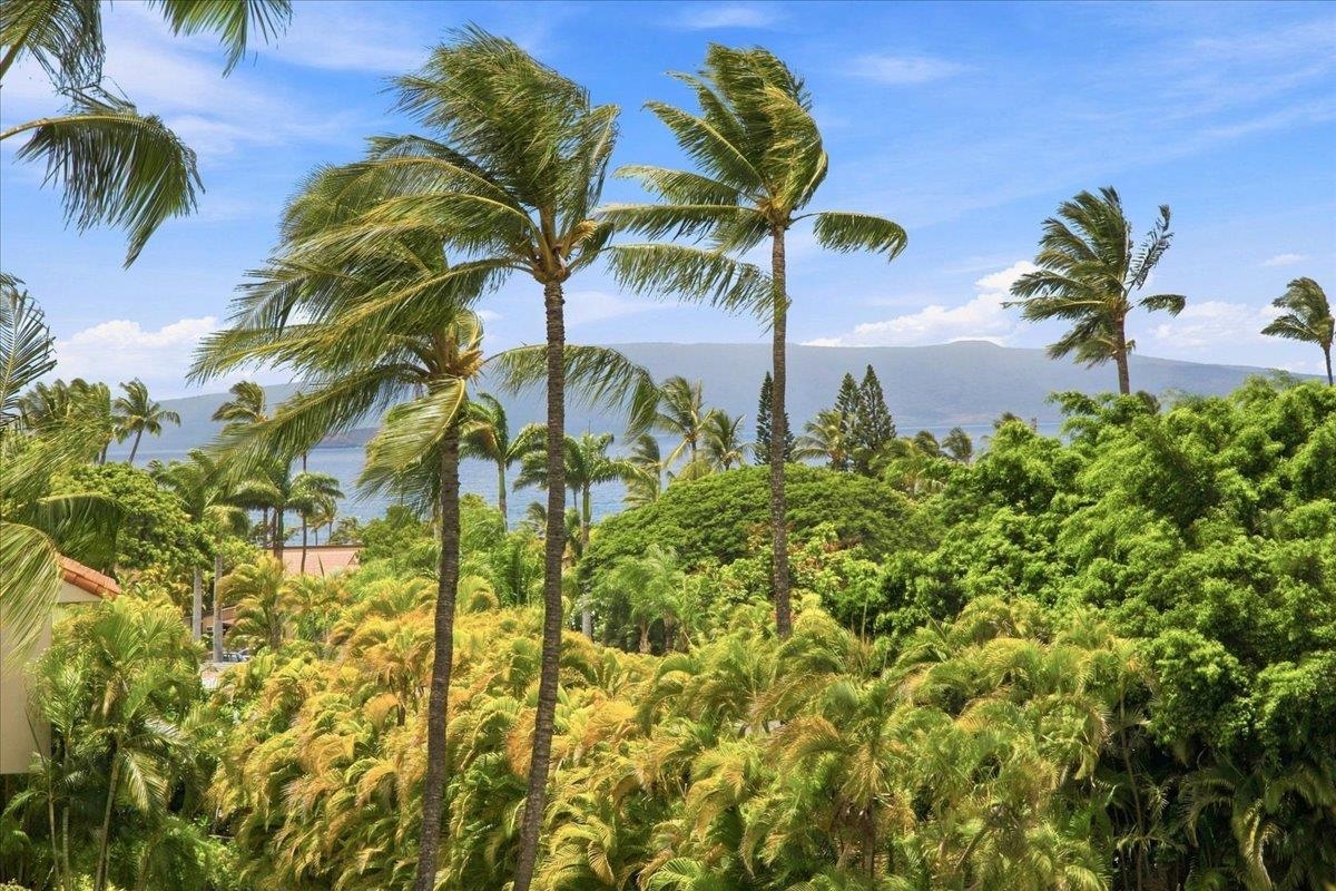 Wailea Palms condo # 2703, Kihei, Hawaii - photo 36 of 49
