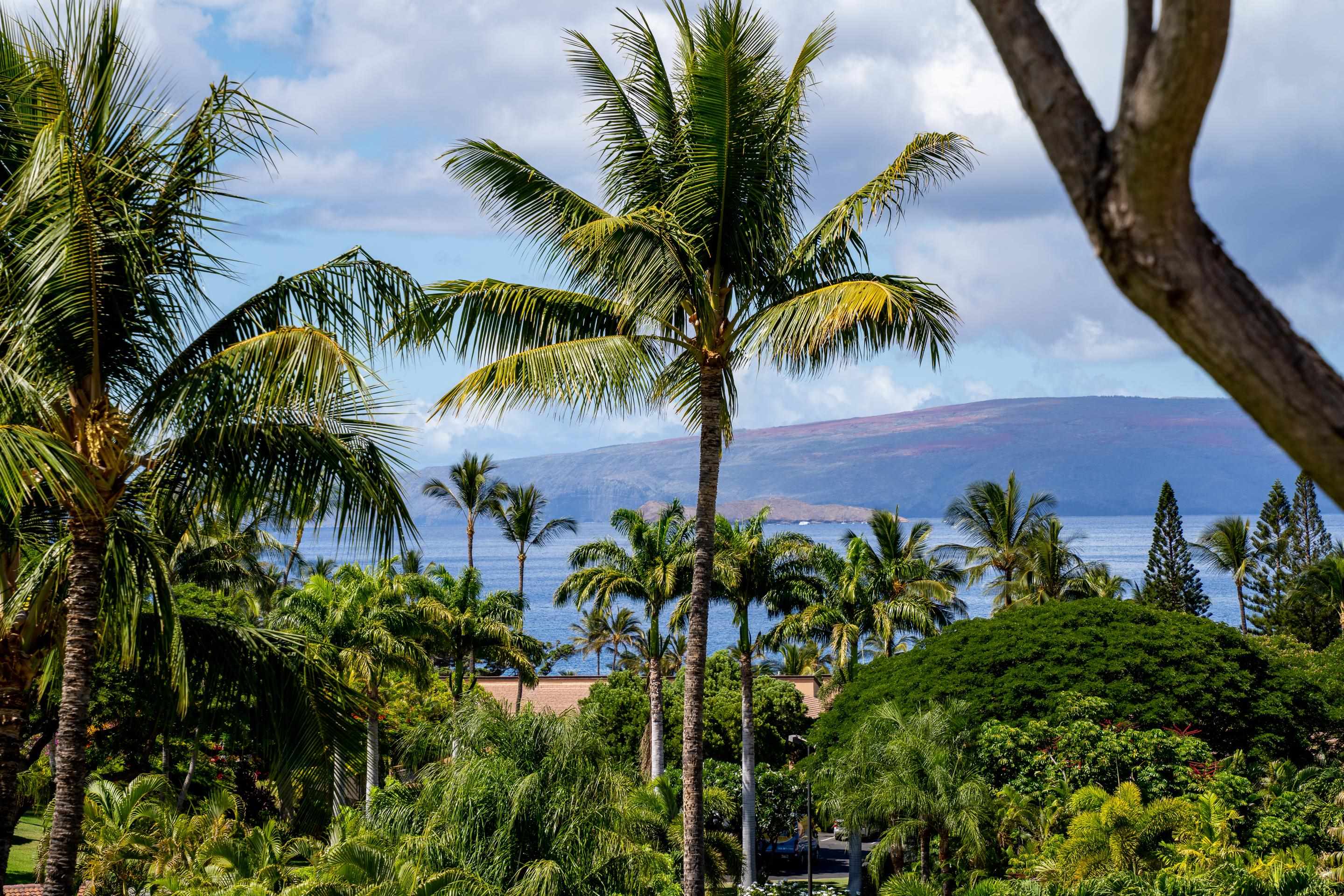 Wailea Palms condo # 2706, Kihei, Hawaii - photo 13 of 30