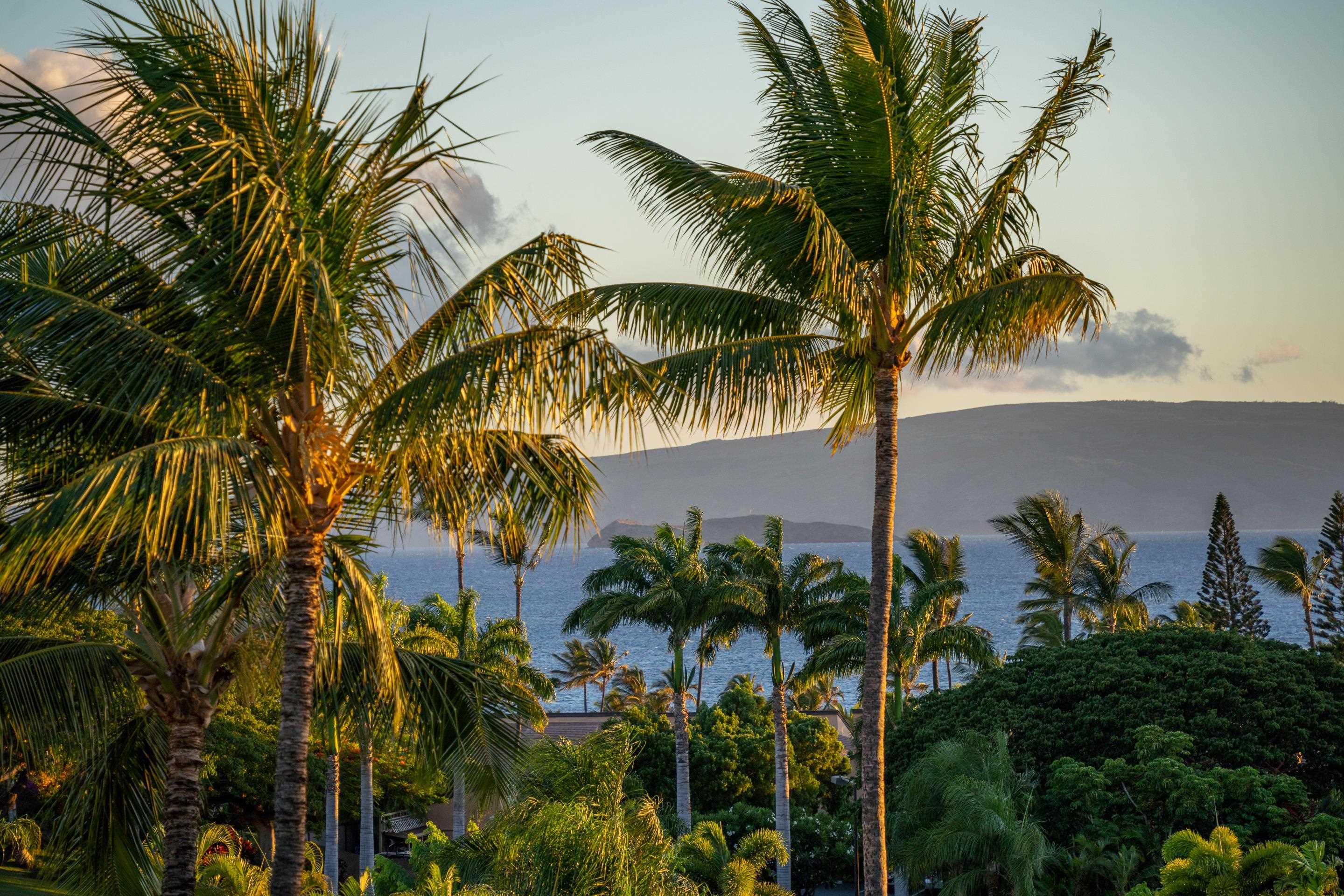 Wailea Palms condo # 2706, Kihei, Hawaii - photo 4 of 30