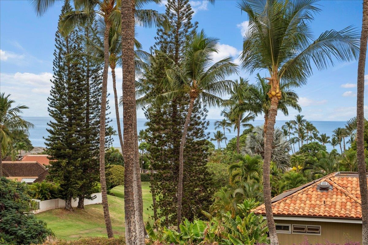 Wailea Palms condo # 2801, Kihei, Hawaii - photo 27 of 46