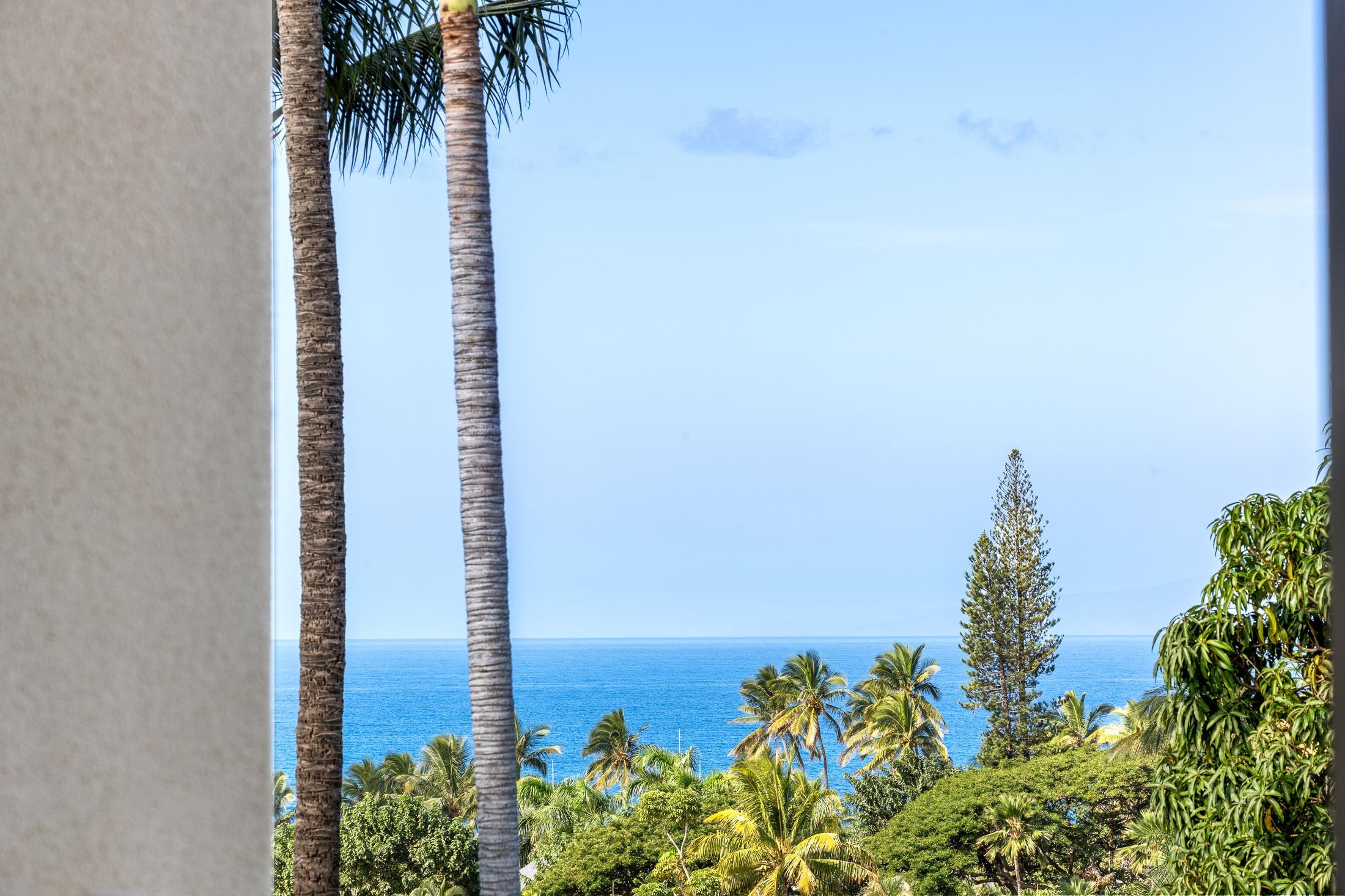 Wailea Palms condo # 2902, Kihei, Hawaii - photo 6 of 45