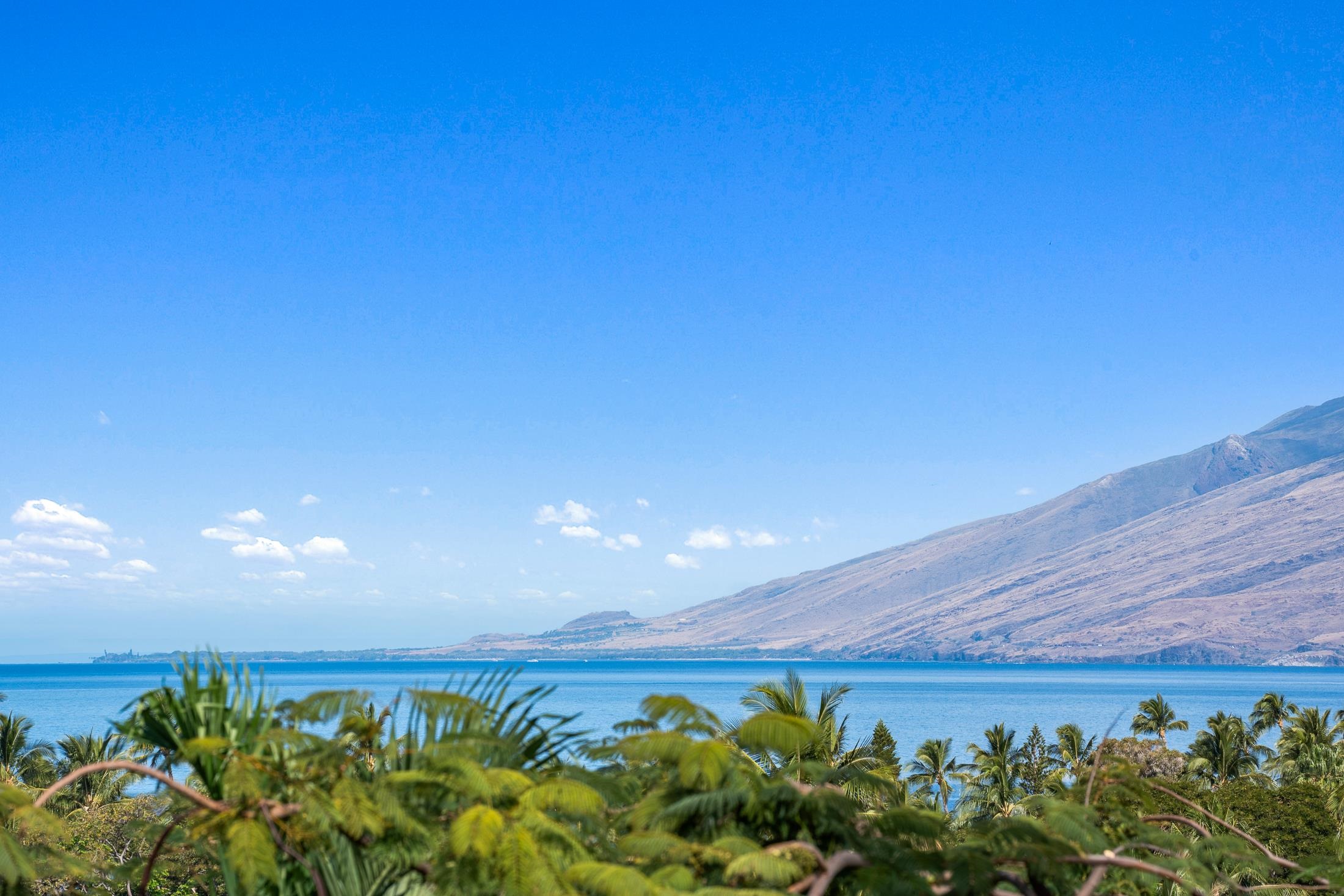 Wailea Palms condo # 2902, Kihei, Hawaii - photo 44 of 49
