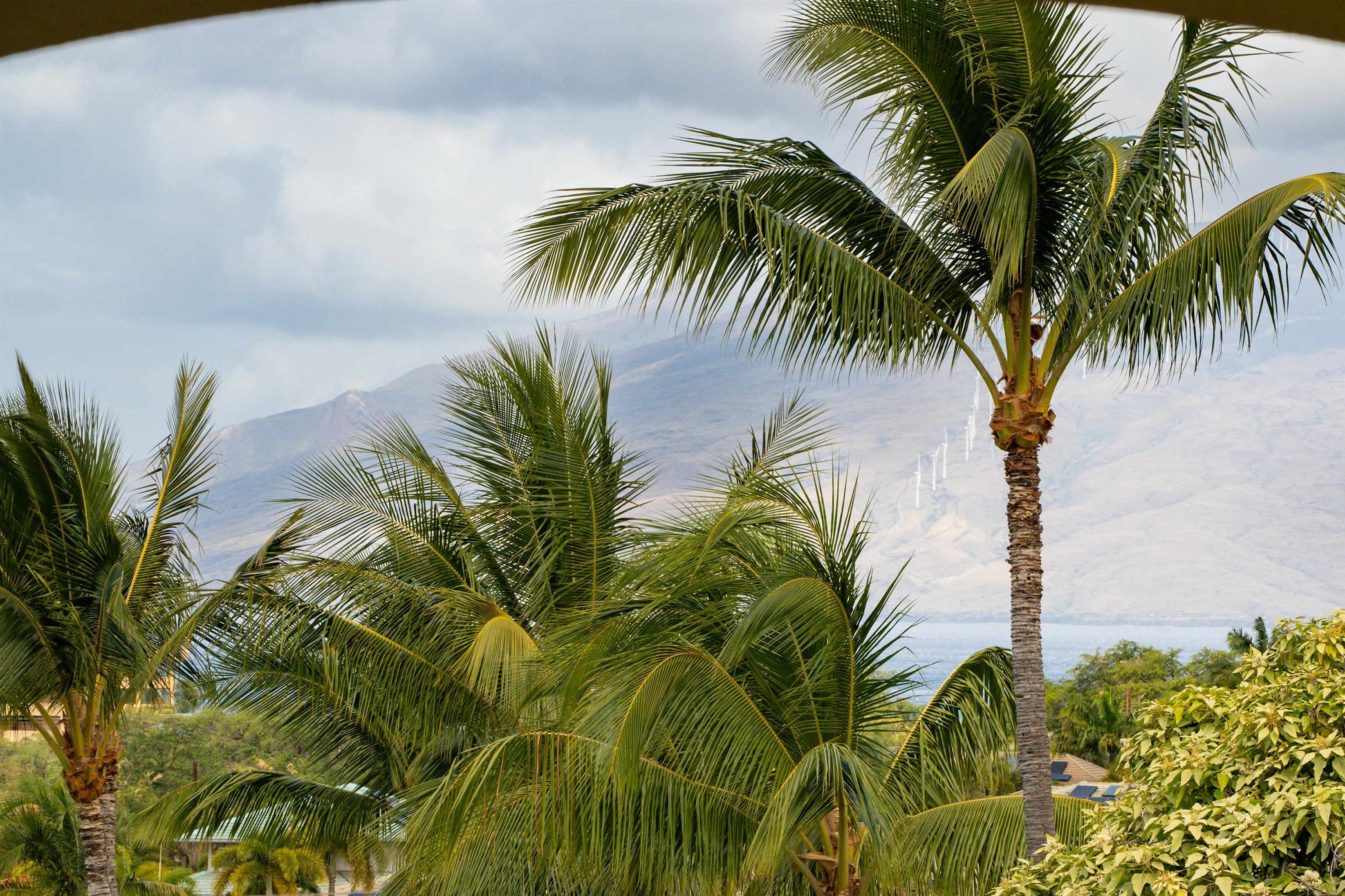 Wailea Palms condo # 3507, Kihei, Hawaii - photo 24 of 26