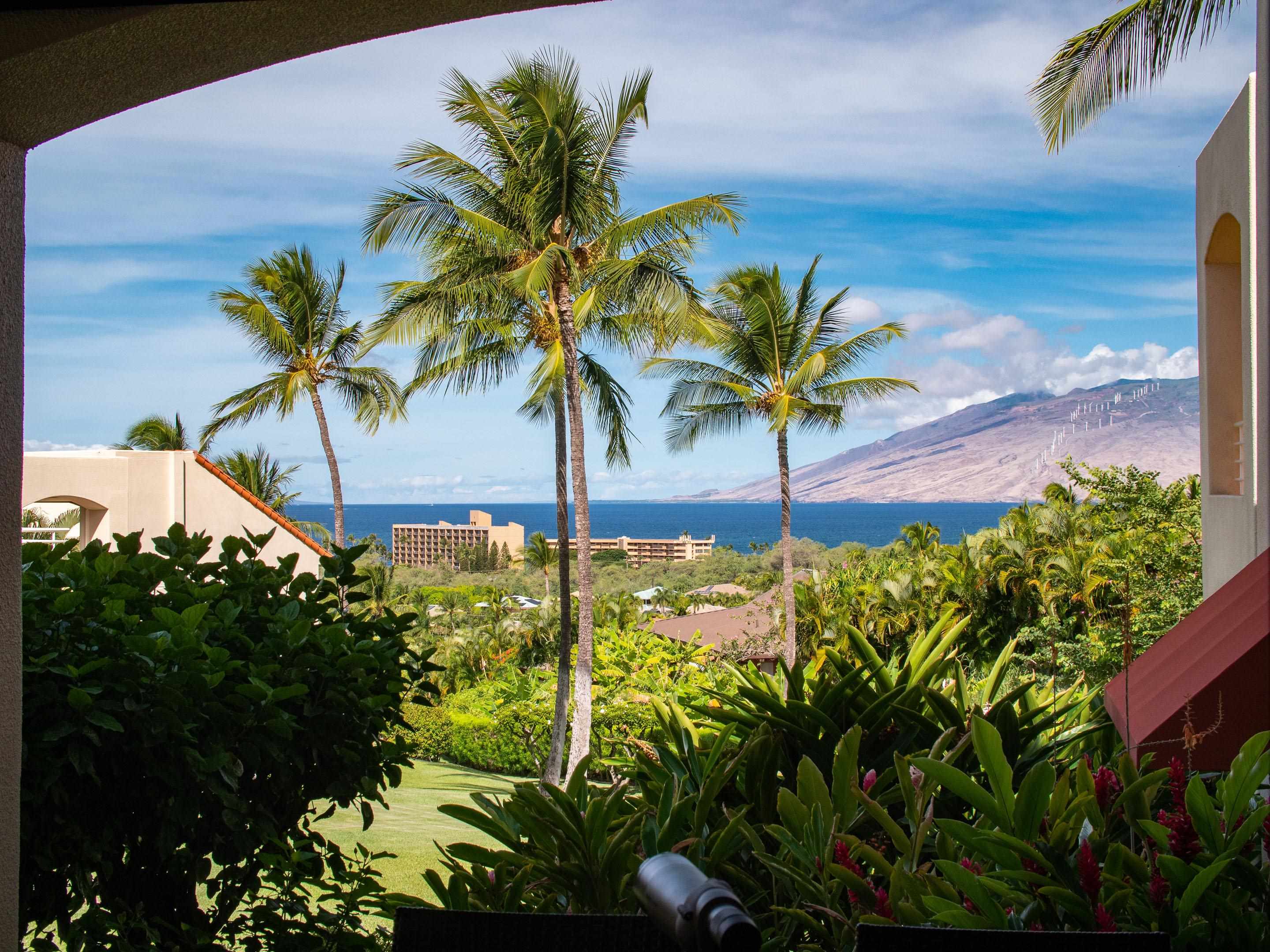 Wailea Palms condo # 3801, Kihei, Hawaii - photo 25 of 30
