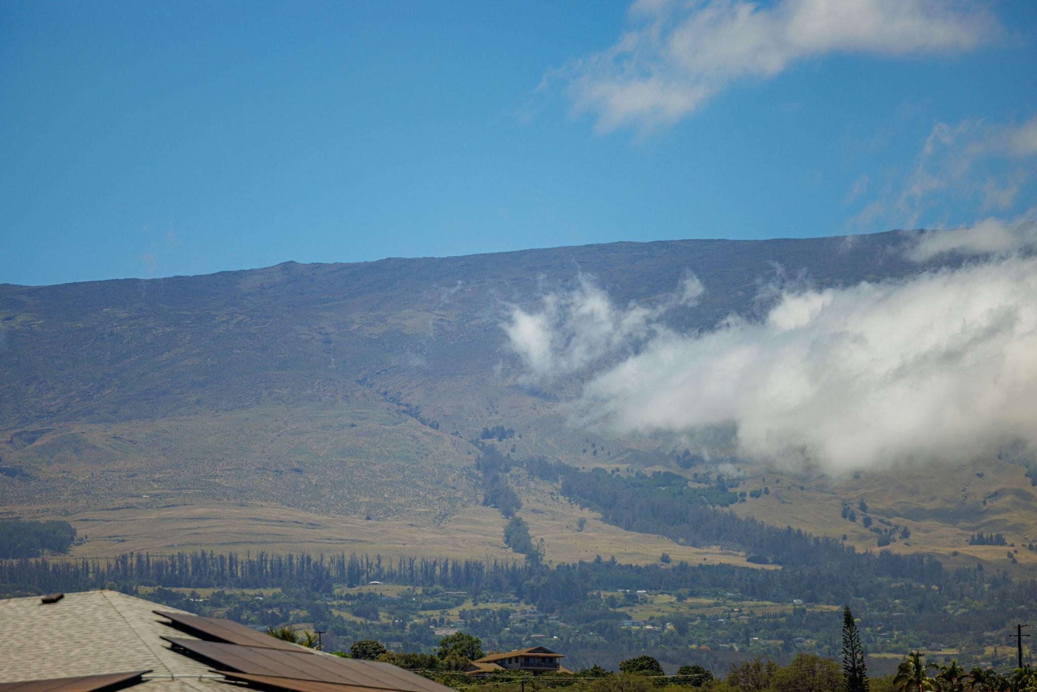 3155  Omaopio Rd Omaopio, Kula/Ulupalakua/Kanaio home - photo 11 of 50