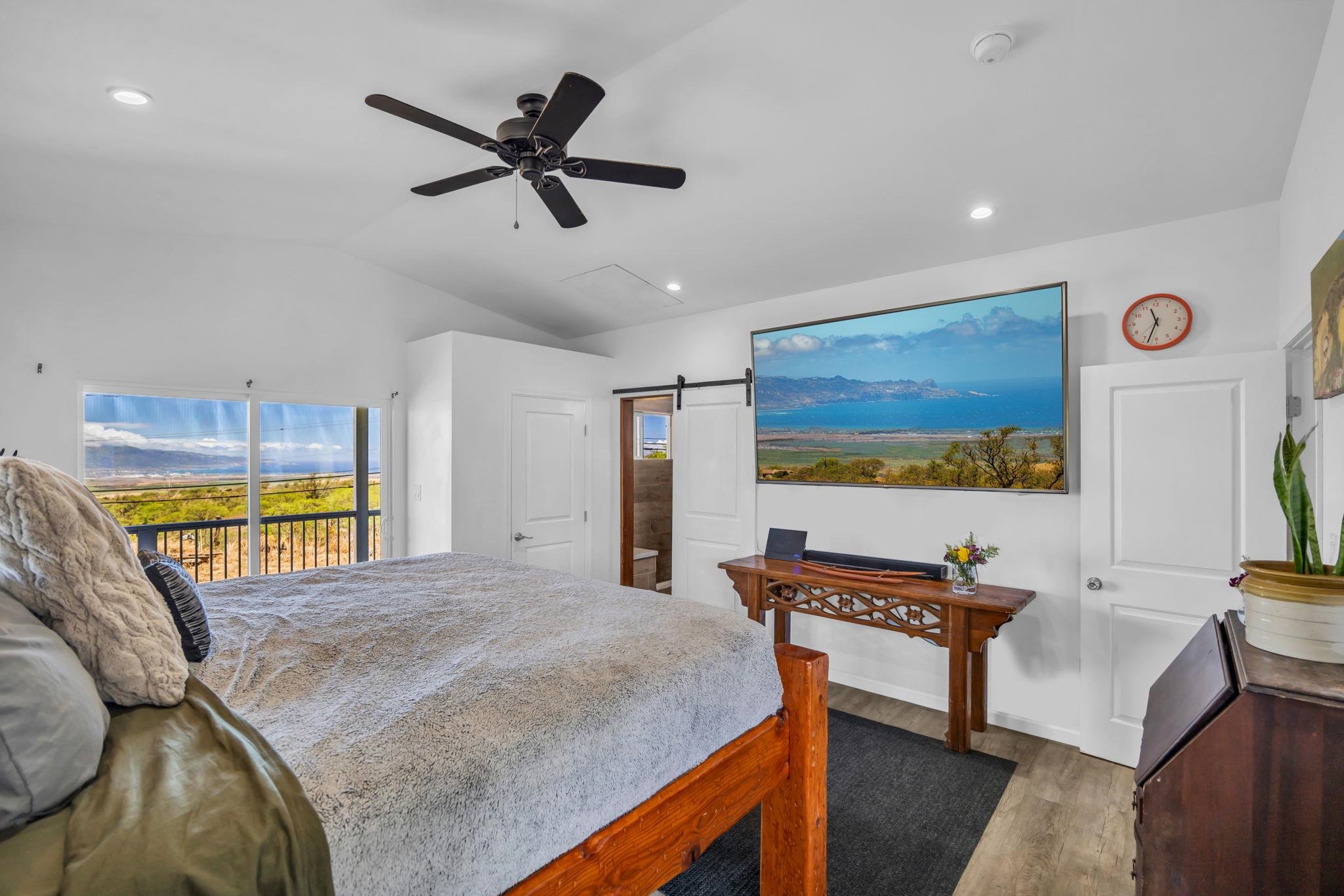 3155  Omaopio Rd Omaopio, Kula/Ulupalakua/Kanaio home - photo 24 of 50