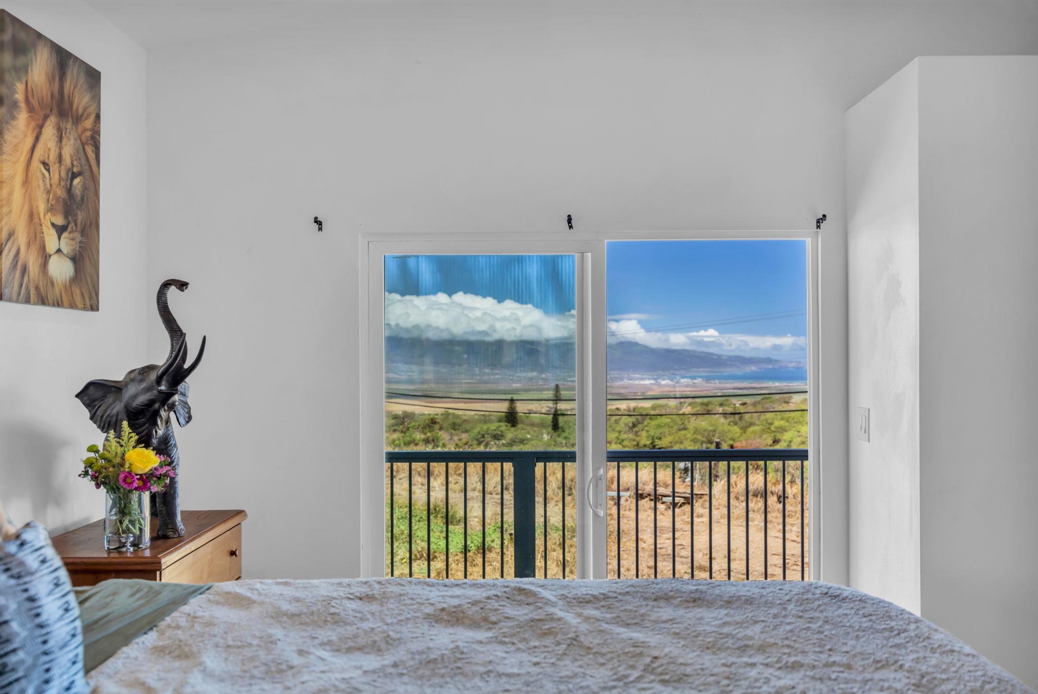 3155  Omaopio Rd Omaopio, Kula/Ulupalakua/Kanaio home - photo 27 of 50