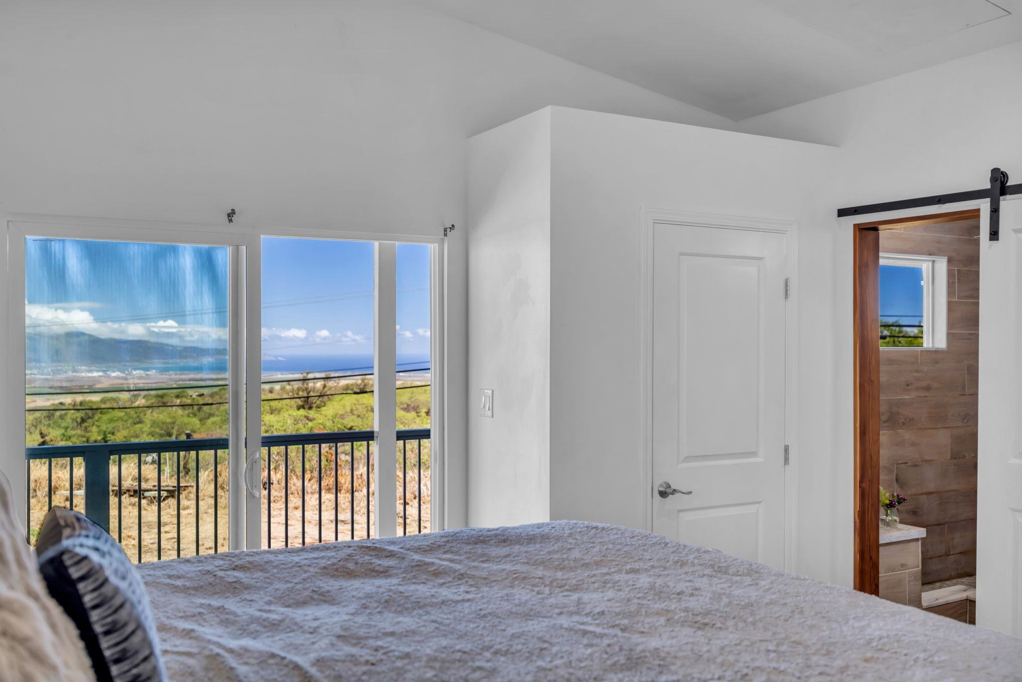 3155  Omaopio Rd Omaopio, Kula/Ulupalakua/Kanaio home - photo 28 of 50