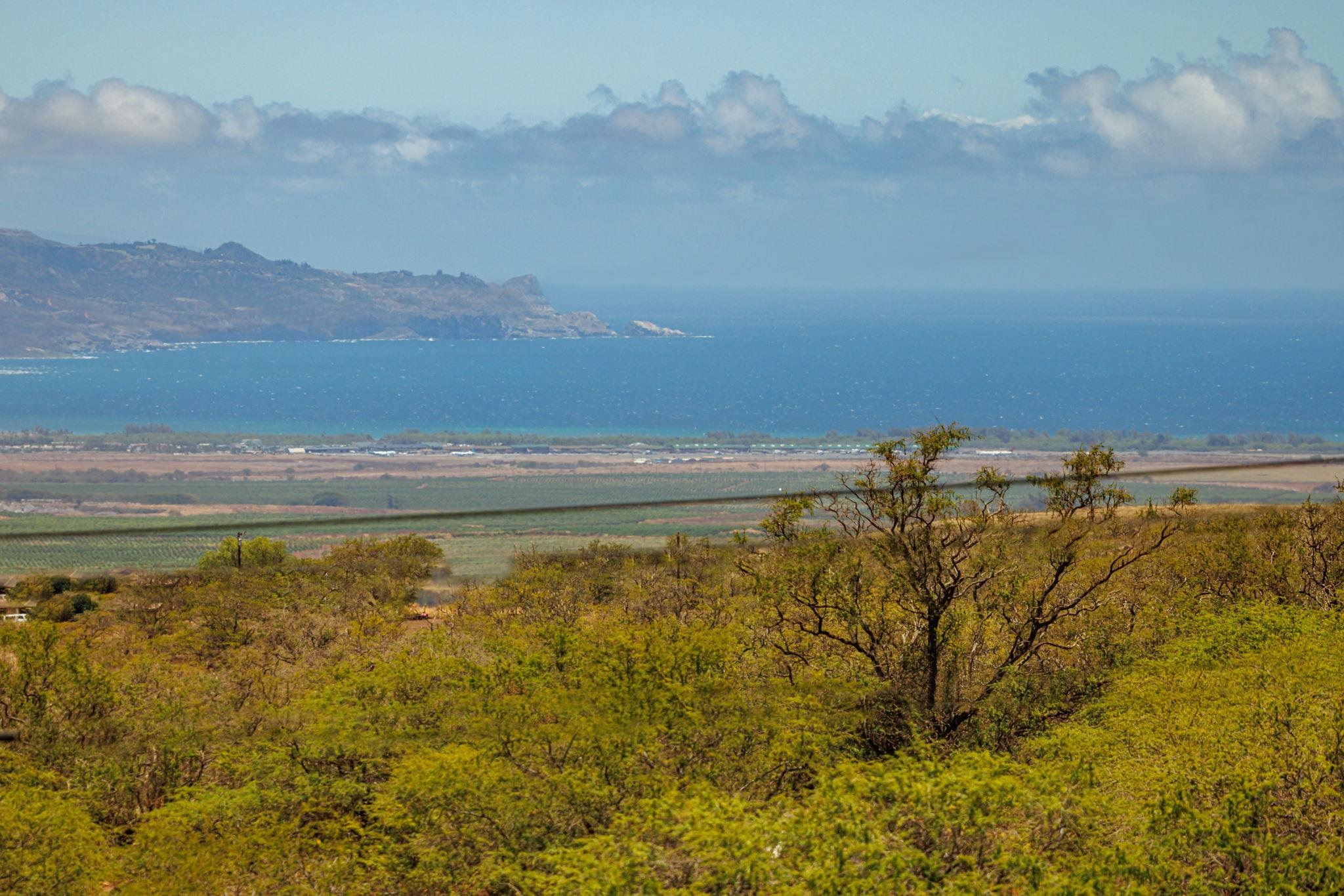 3155  Omaopio Rd Omaopio, Kula/Ulupalakua/Kanaio home - photo 38 of 50
