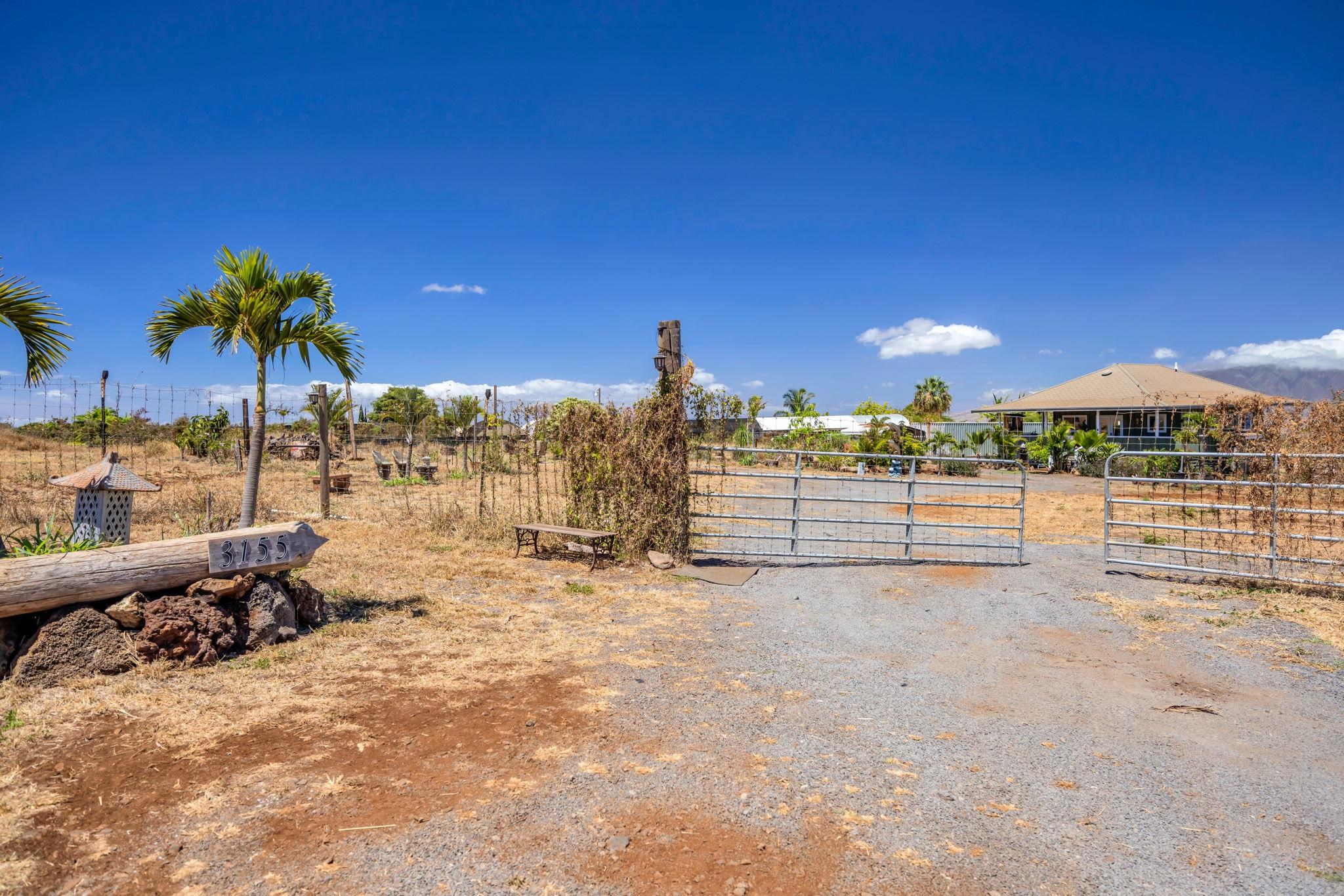3155  Omaopio Rd Omaopio, Kula/Ulupalakua/Kanaio home - photo 46 of 50