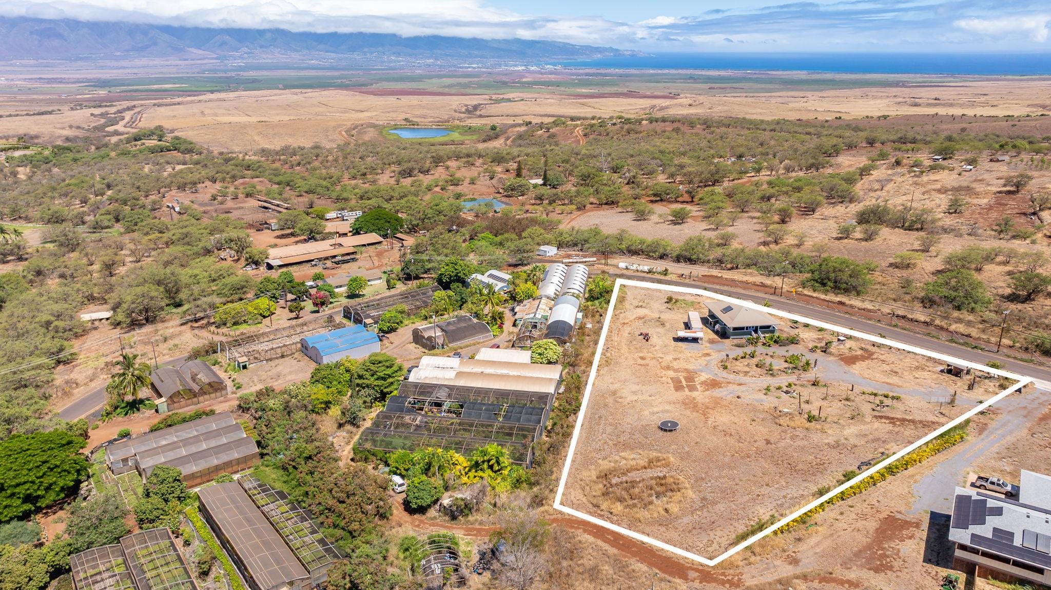 3155  Omaopio Rd Omaopio, Kula/Ulupalakua/Kanaio home - photo 47 of 50