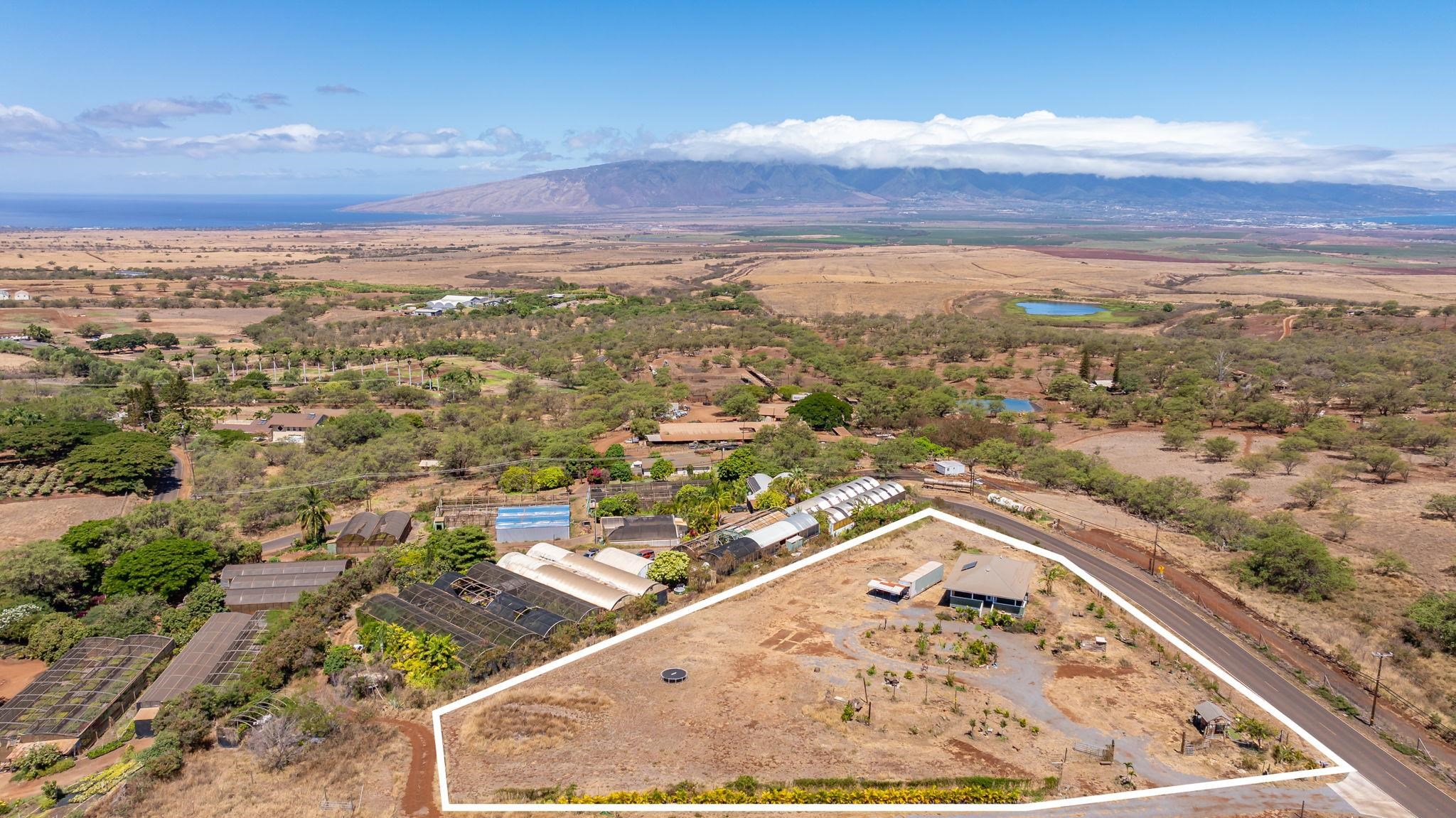 3155  Omaopio Rd Omaopio, Kula/Ulupalakua/Kanaio home - photo 48 of 50