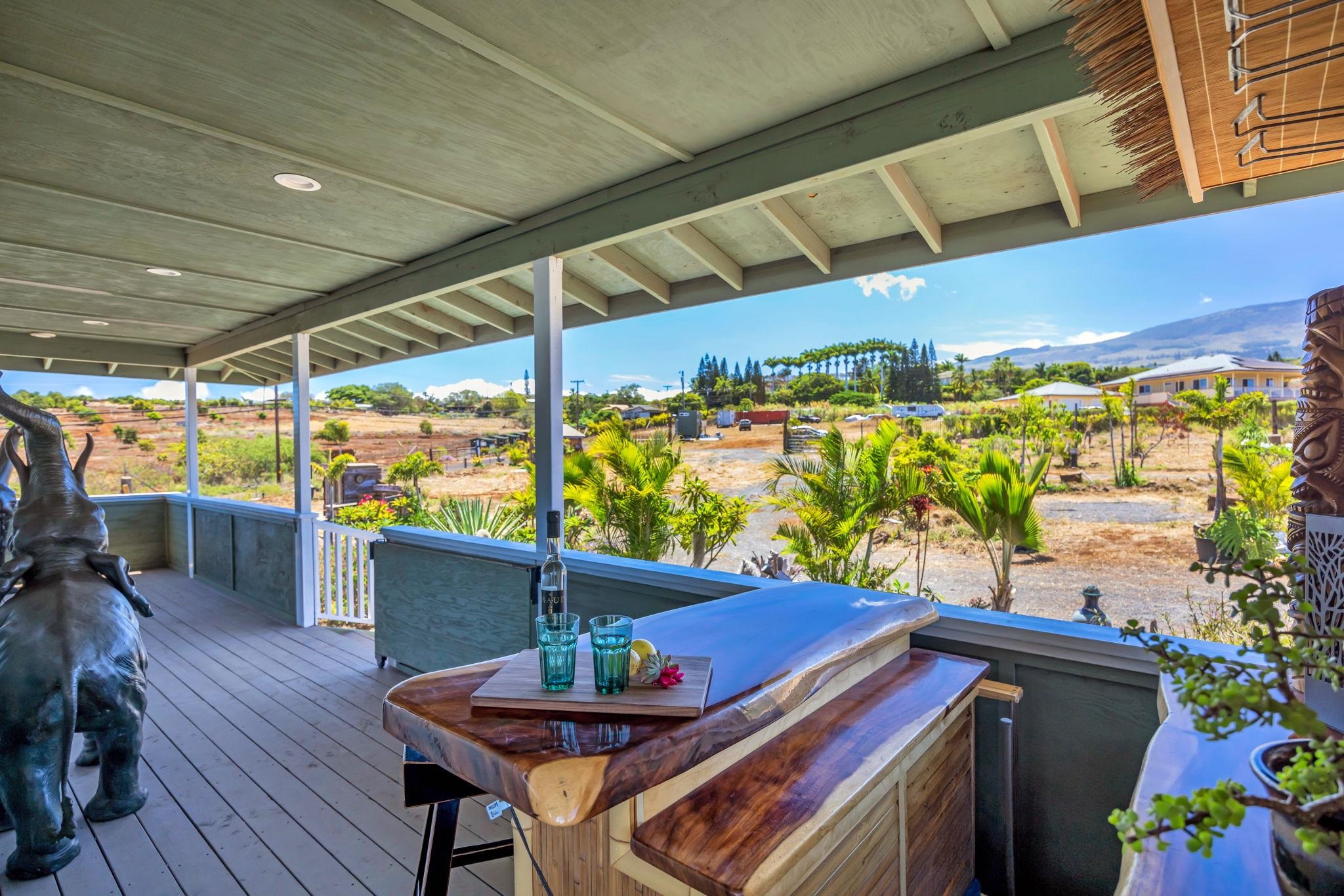 3155  Omaopio Rd Omaopio, Kula/Ulupalakua/Kanaio home - photo 7 of 50