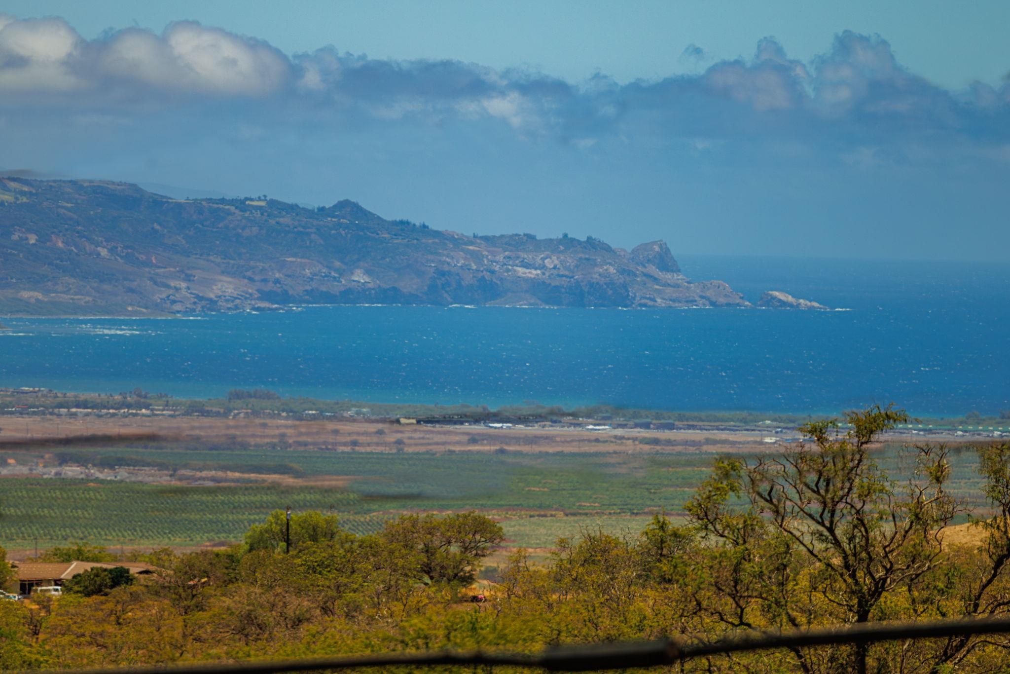 3155  Omaopio Rd Omaopio, Kula/Ulupalakua/Kanaio home - photo 10 of 50
