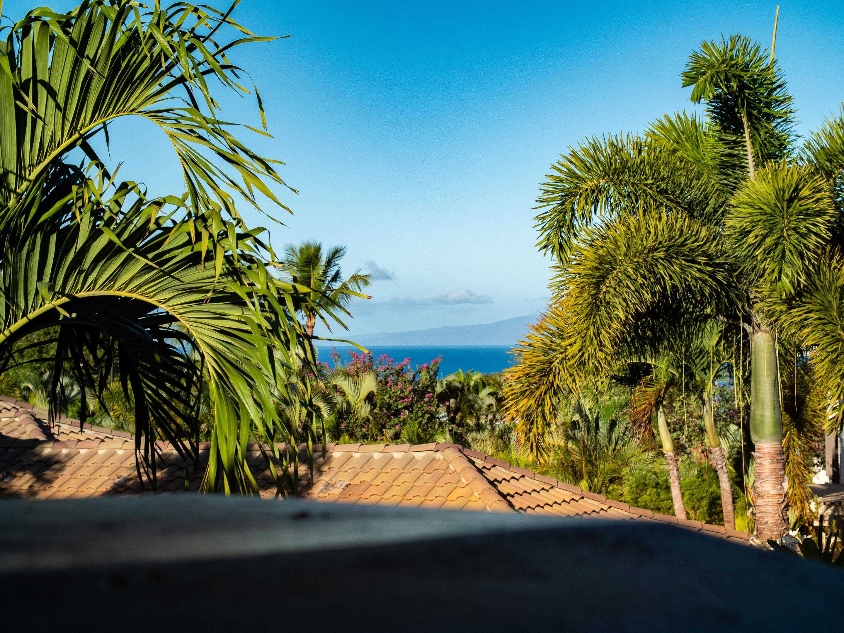 3179  Noho Loihi Way Wailea, Wailea/Makena home - photo 16 of 47